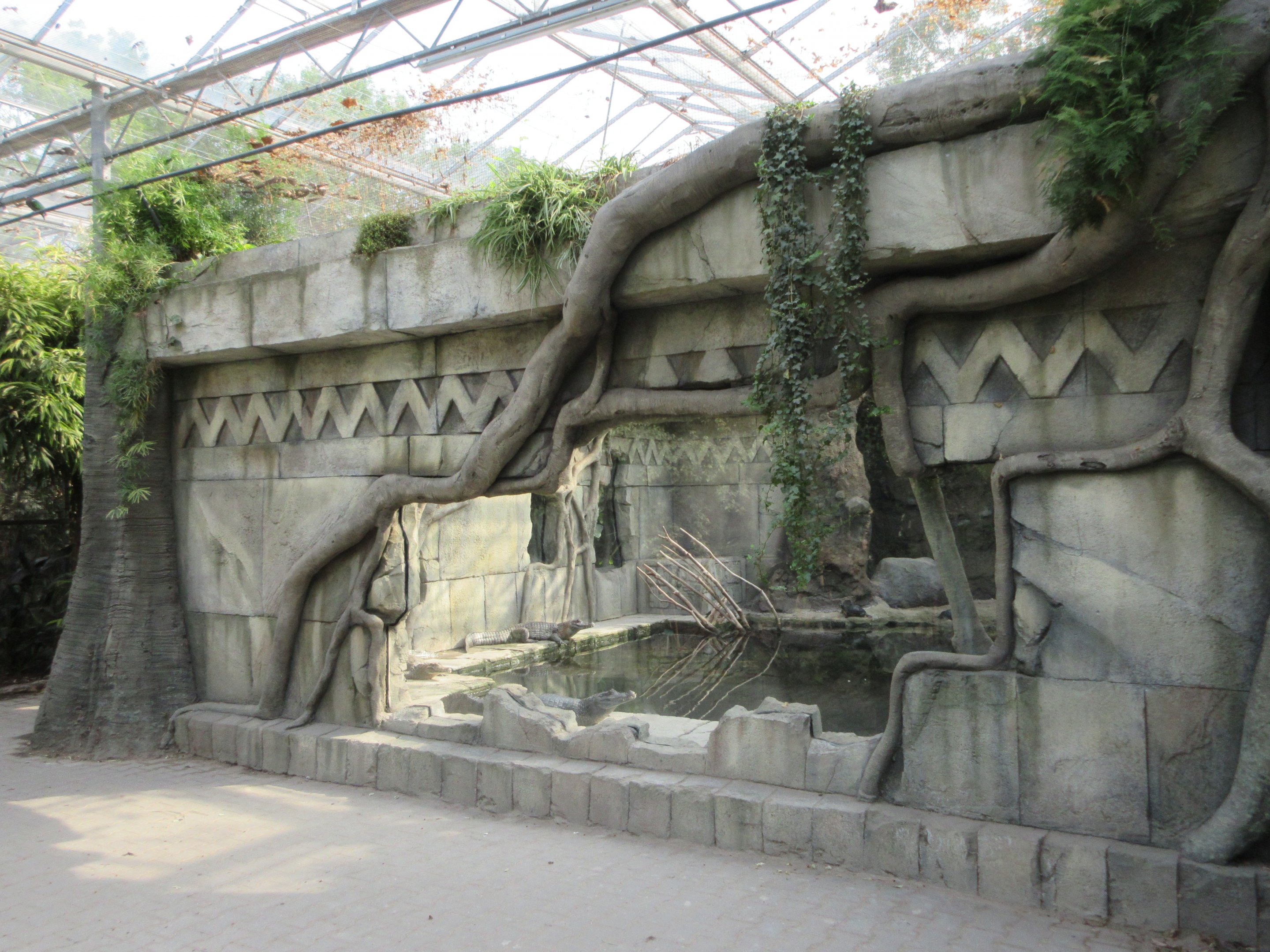 Tropical House - Spectacled Caiman Exhibit