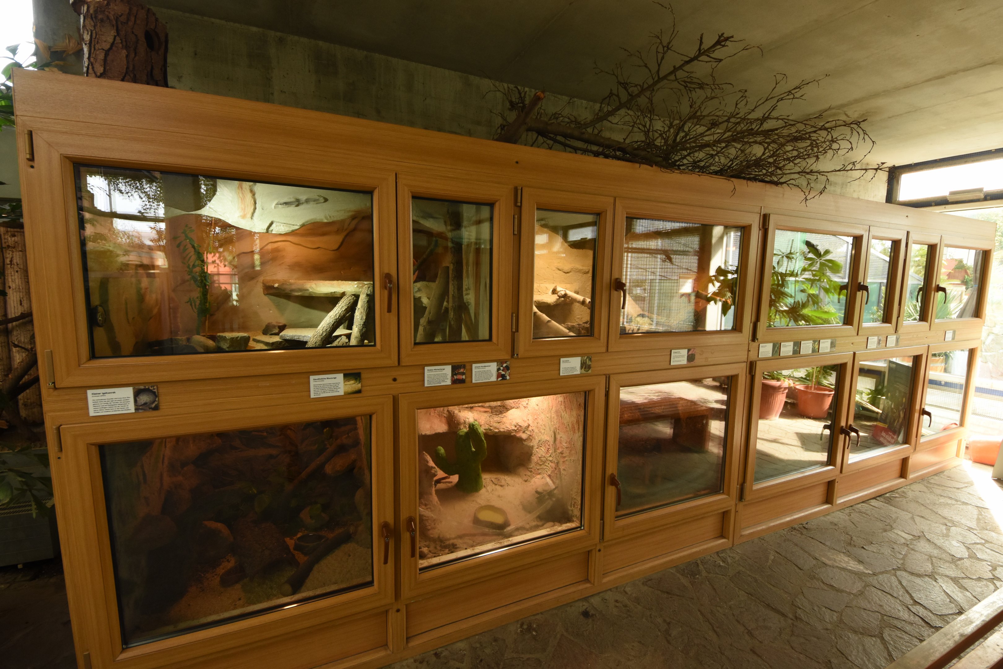 Tropical house - Terraria