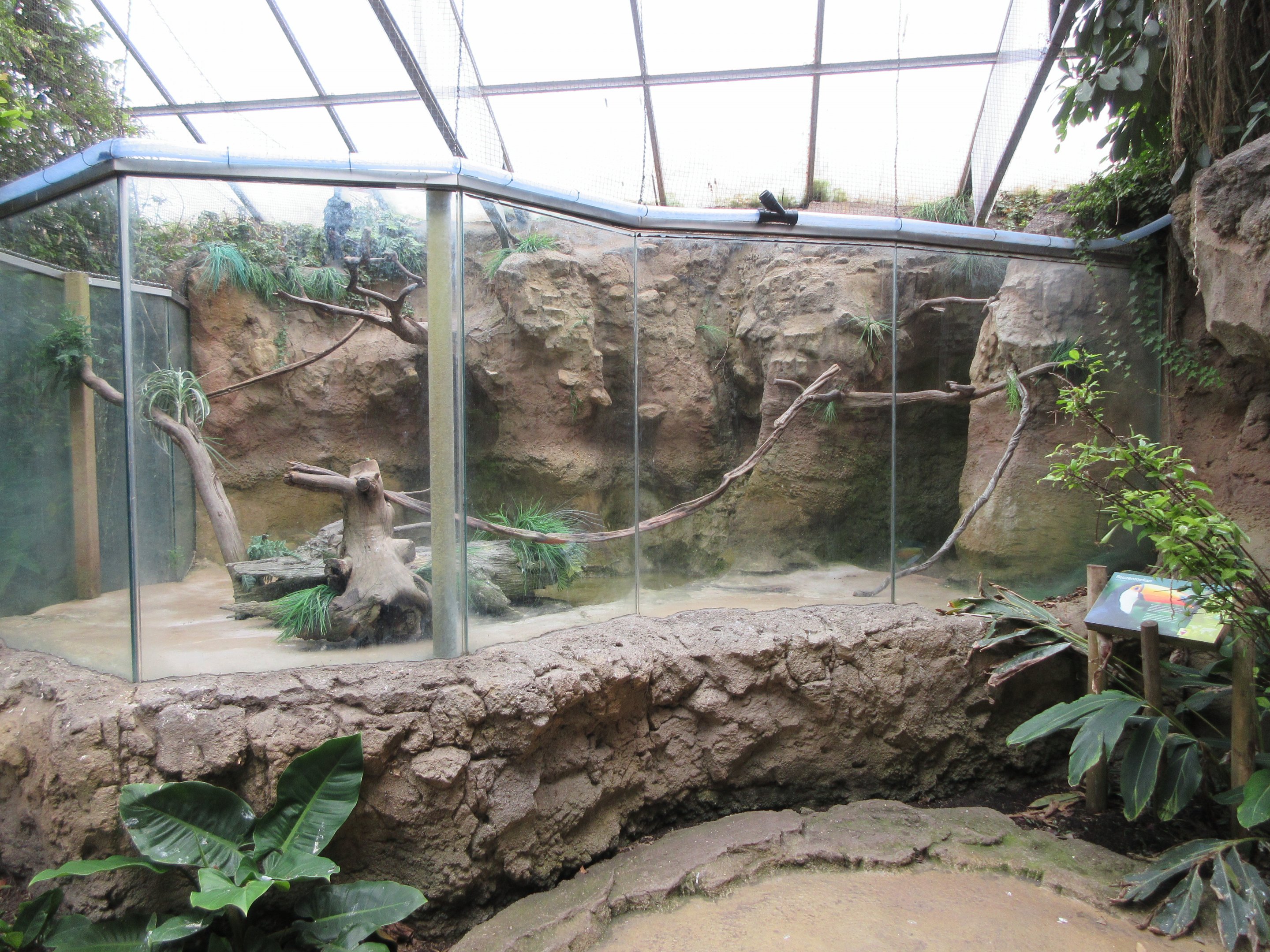 Tropical House - Toco Toucan Exhibit