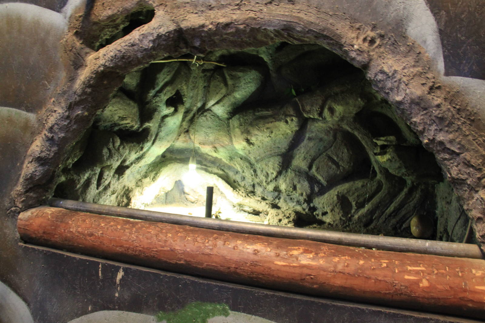 Tropical House - Turtle Exhibit