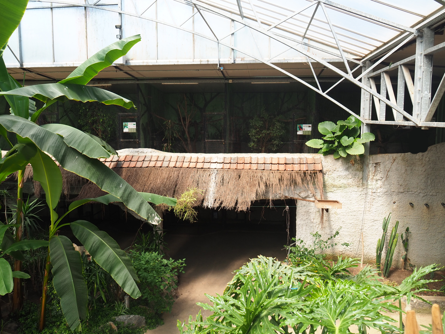 Tropical house - Two levels of cages, 2019-08-04