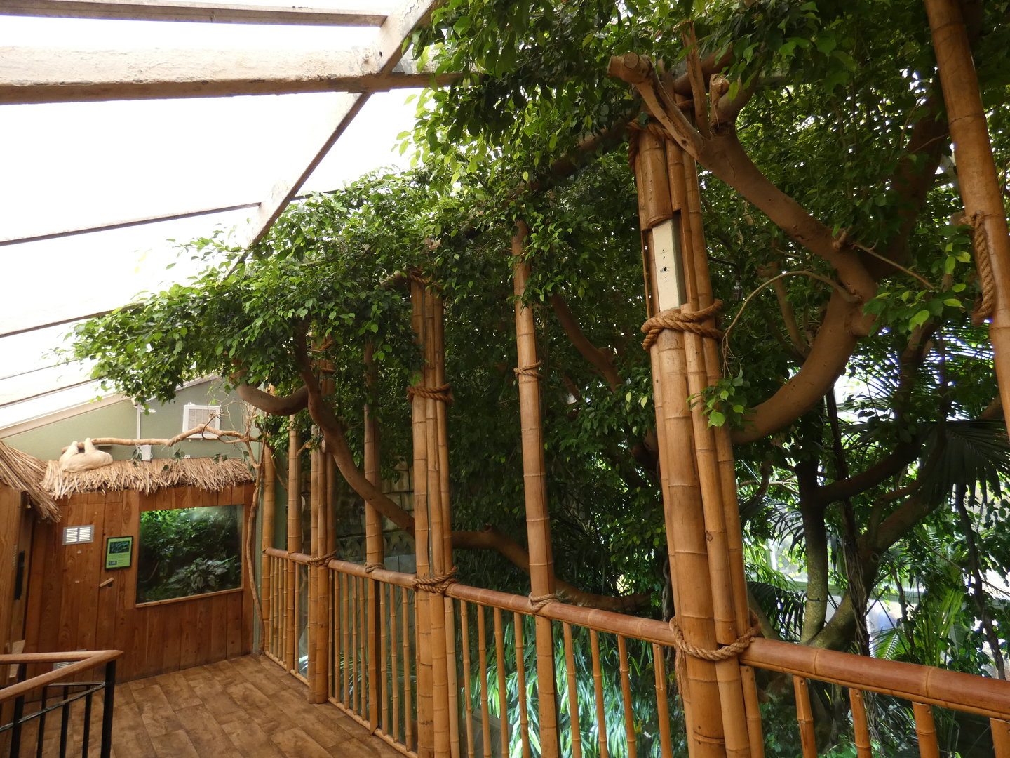 Tropical house upper section