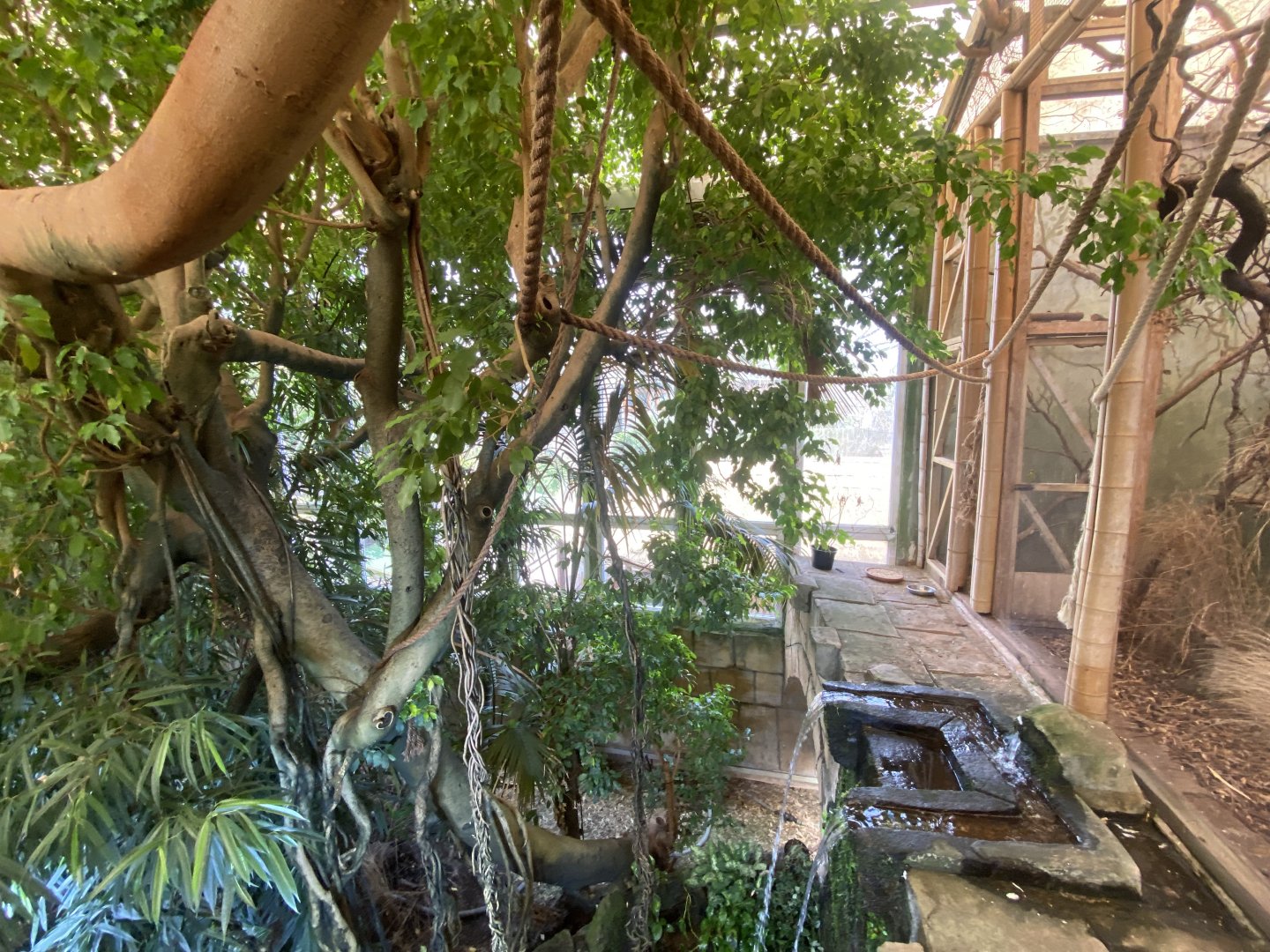 Tropical House upper view 240424