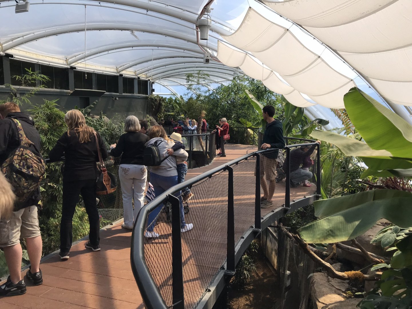 Tropical House upper walkway 110519