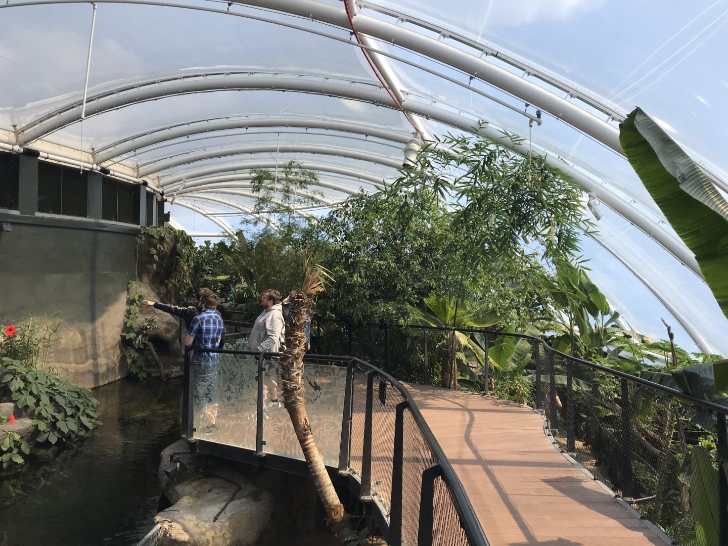 Tropical House upper walkway 110519