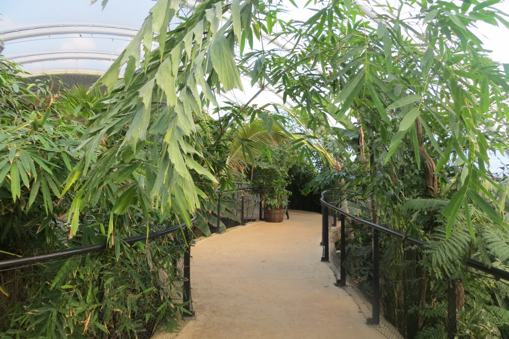 Tropical House upper walkway 110519