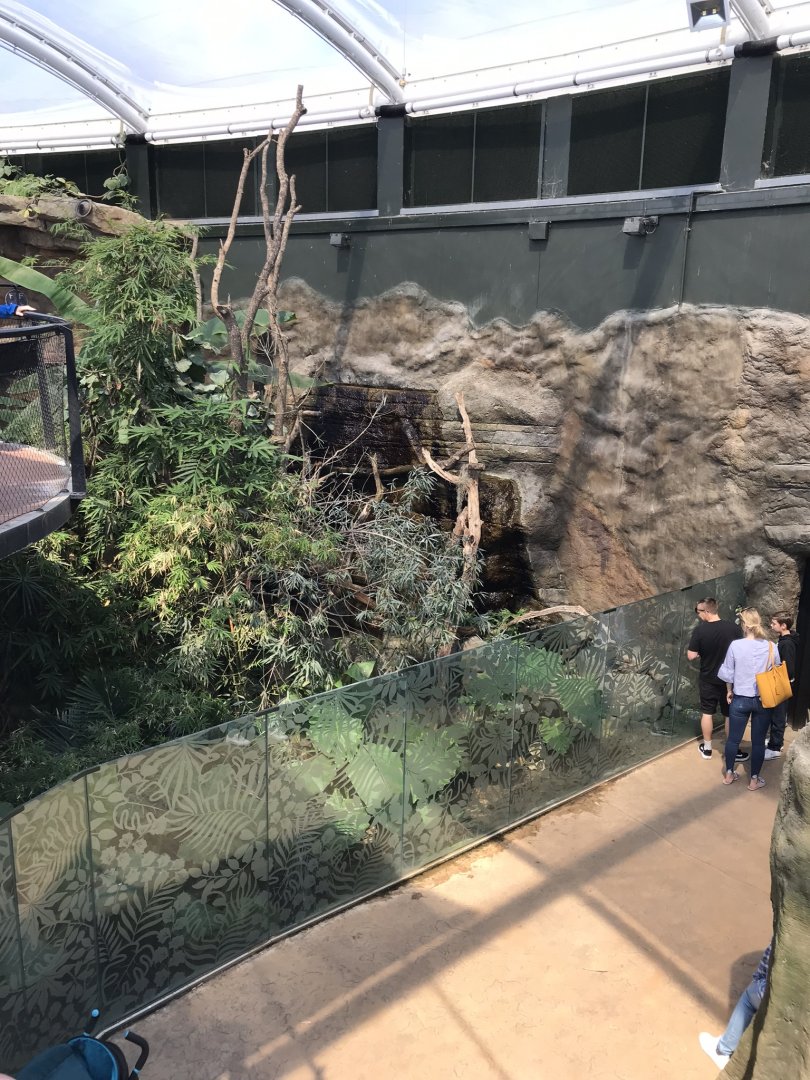 Tropical House - upper walkway towards sloth exhibit 110519