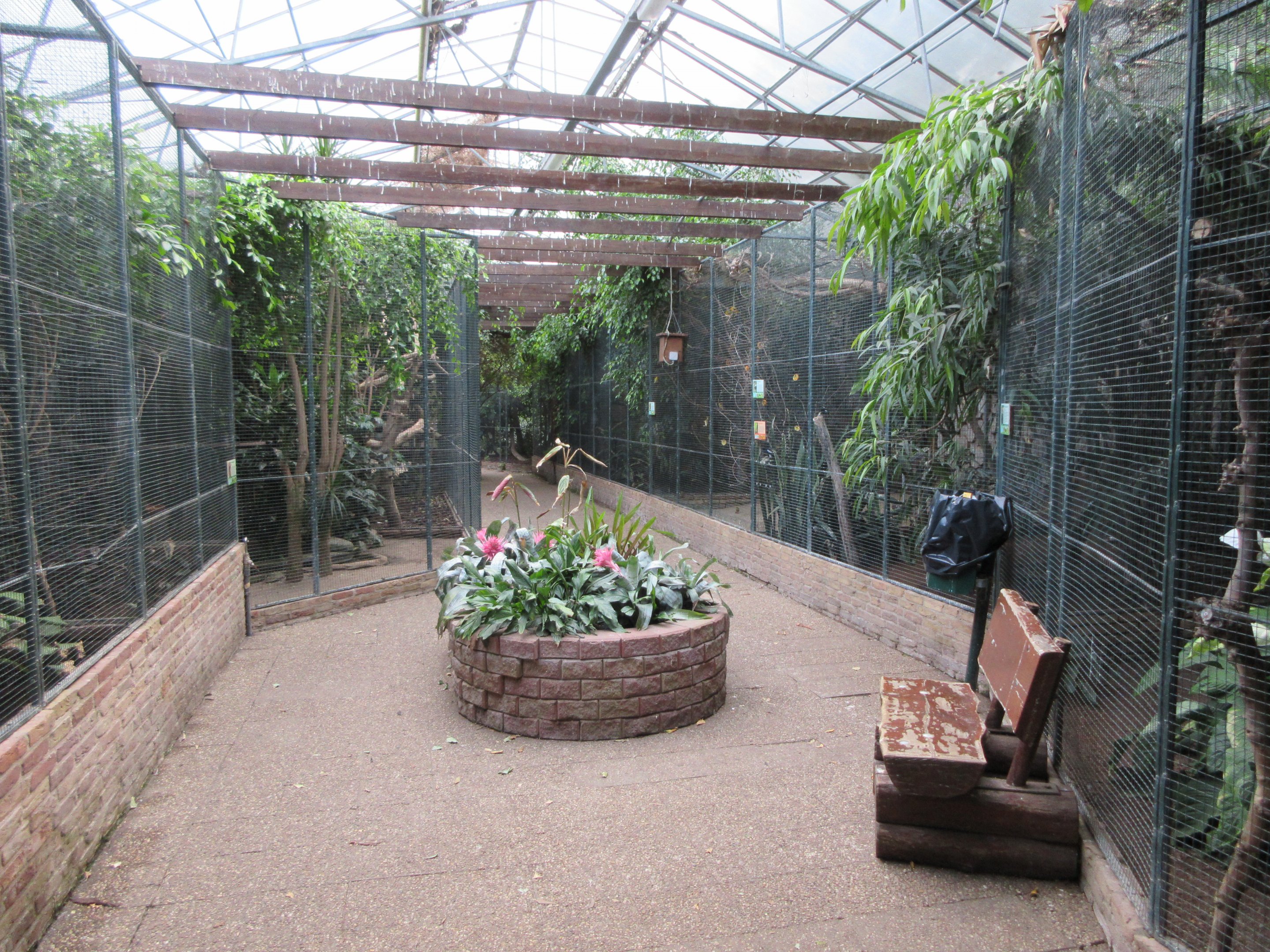 Tropical House - Various Aviaries
