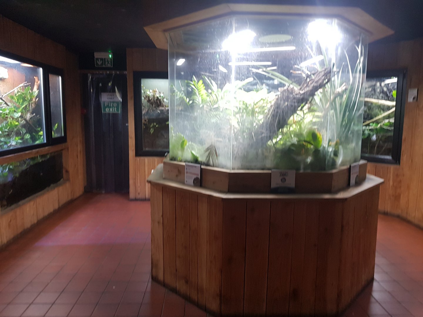 Tropical House Vivariums