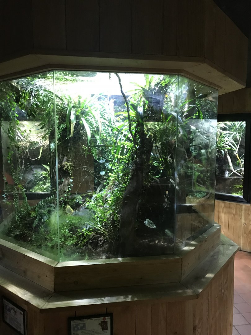 Tropical House - walk around frog exhibit 081018