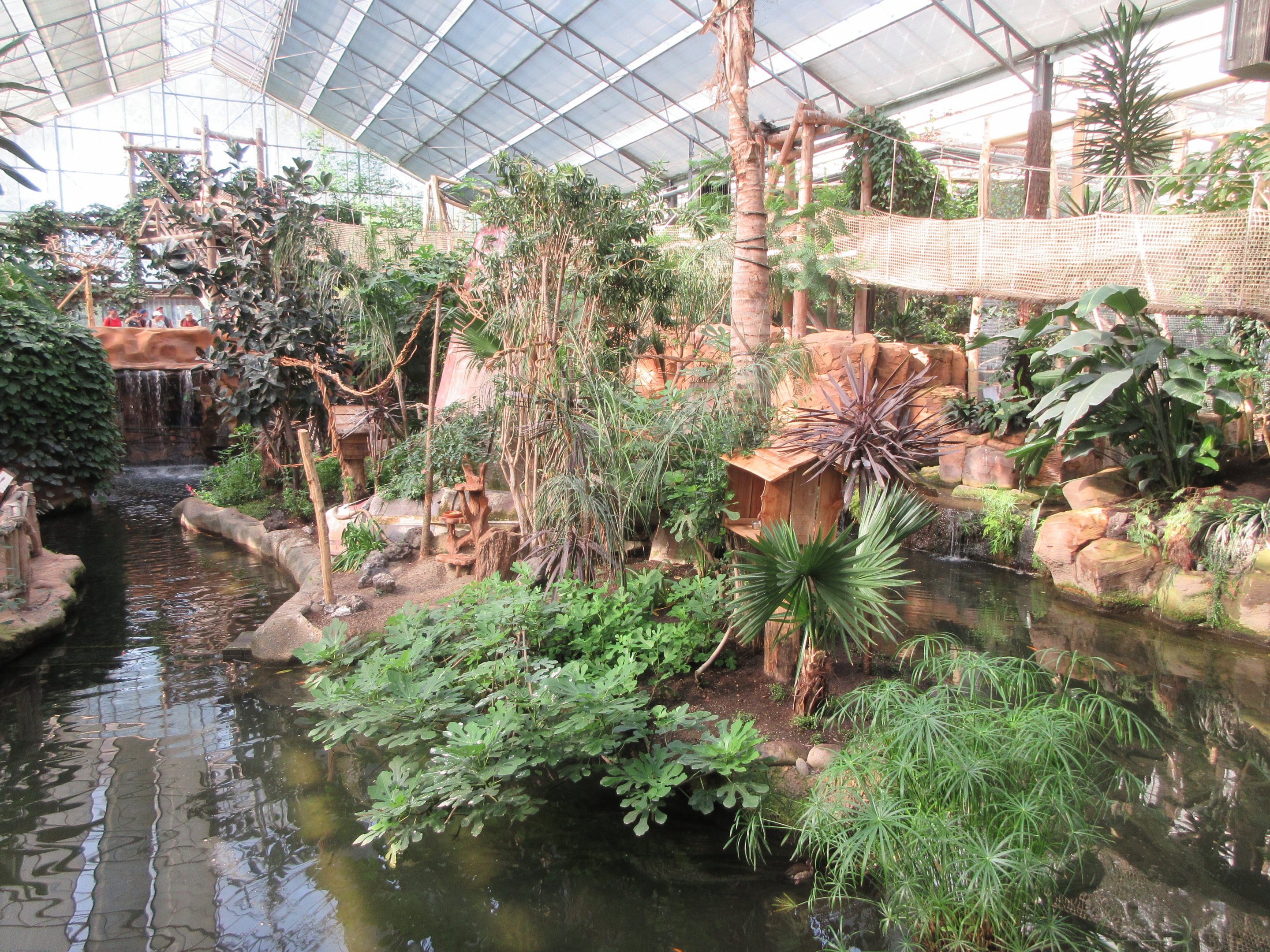 Tropical House - White-faced Saki Exhibit