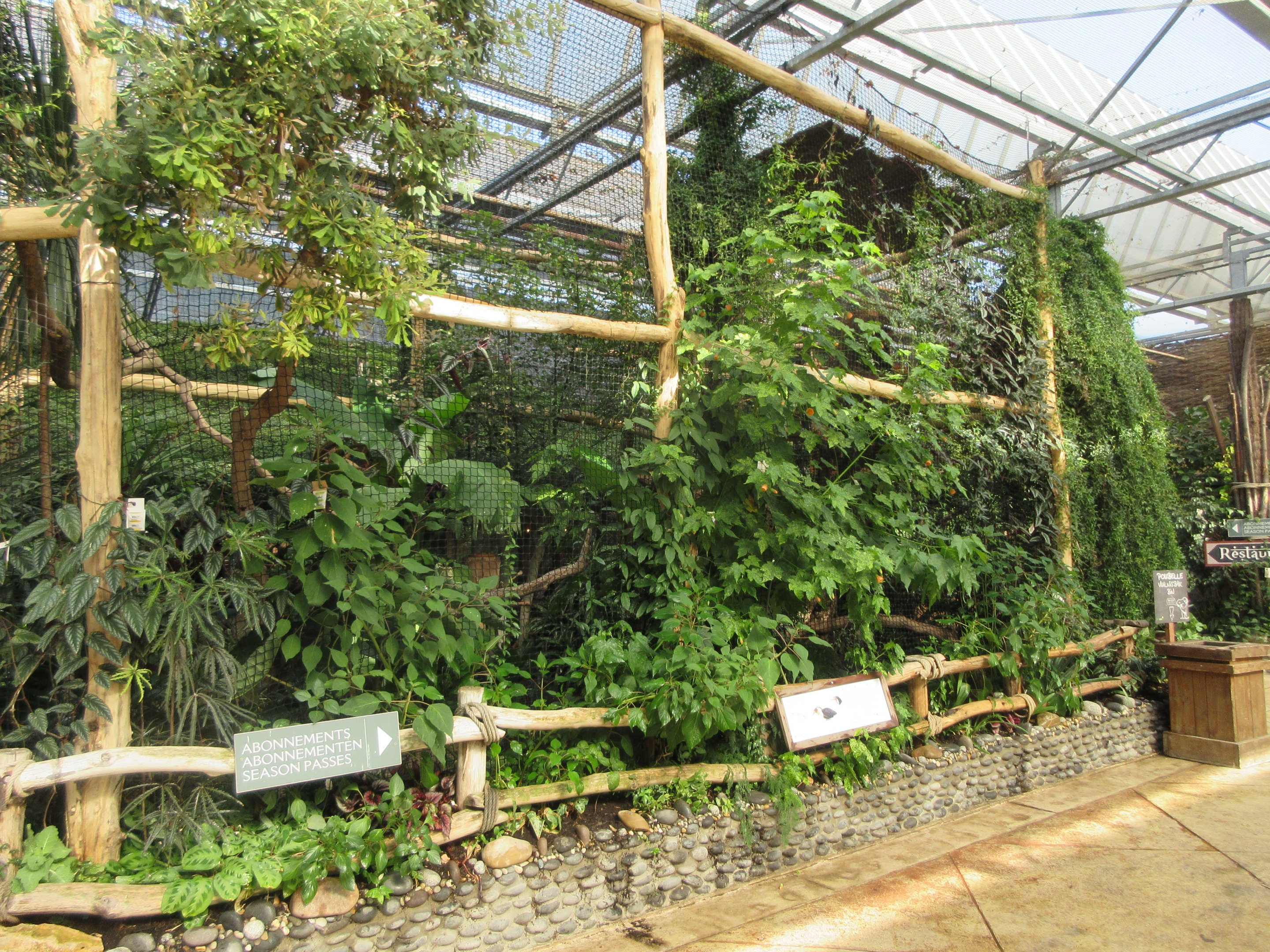 Tropical House - Wreathed Hornbill Exhibit