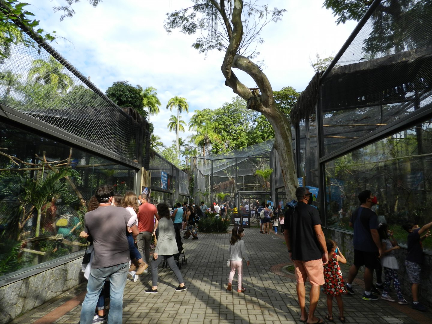 Tropical immersion corridor - BioParque do Rio