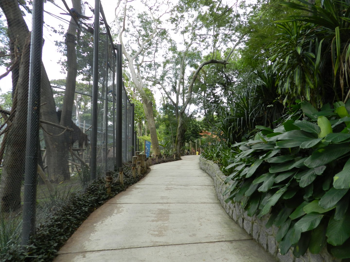 Tropical immersion, exit - BioParque do Rio