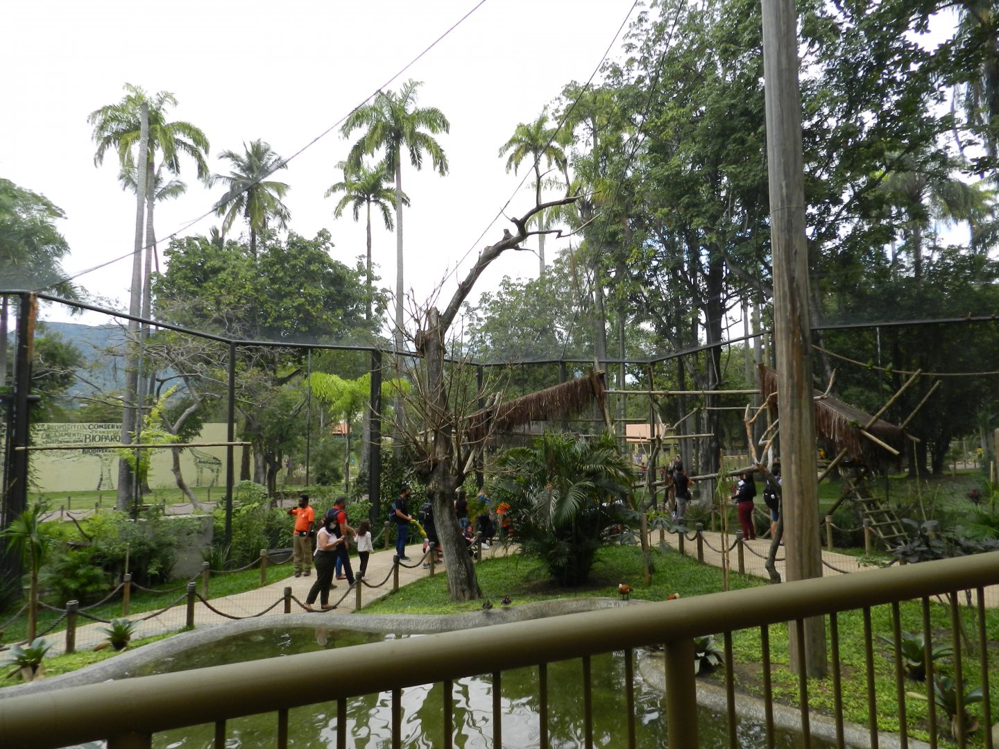 Tropical immersion, immersive aviary - BioParque do Rio