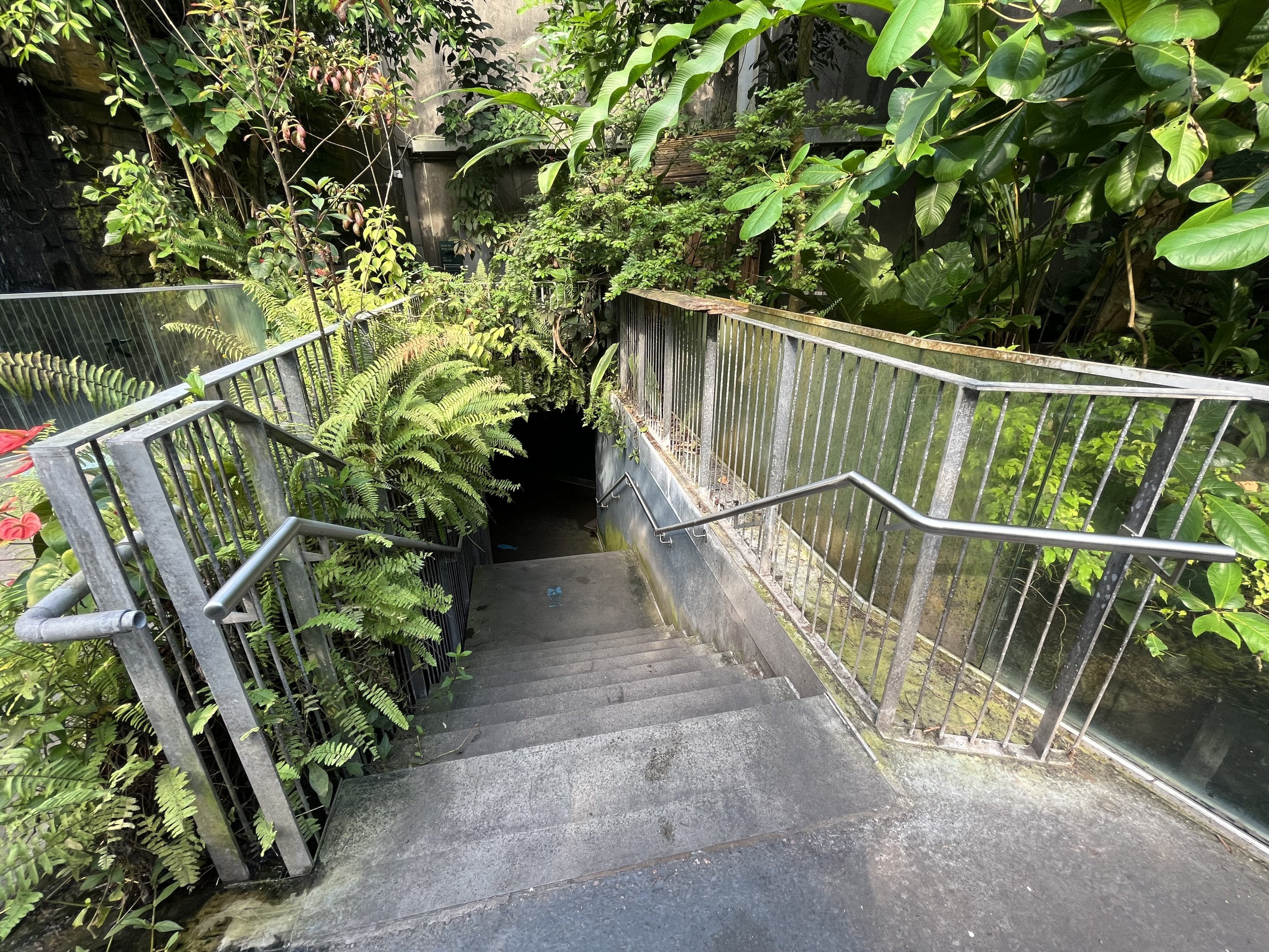 Tropical Jungle (stairs to giant tanks)