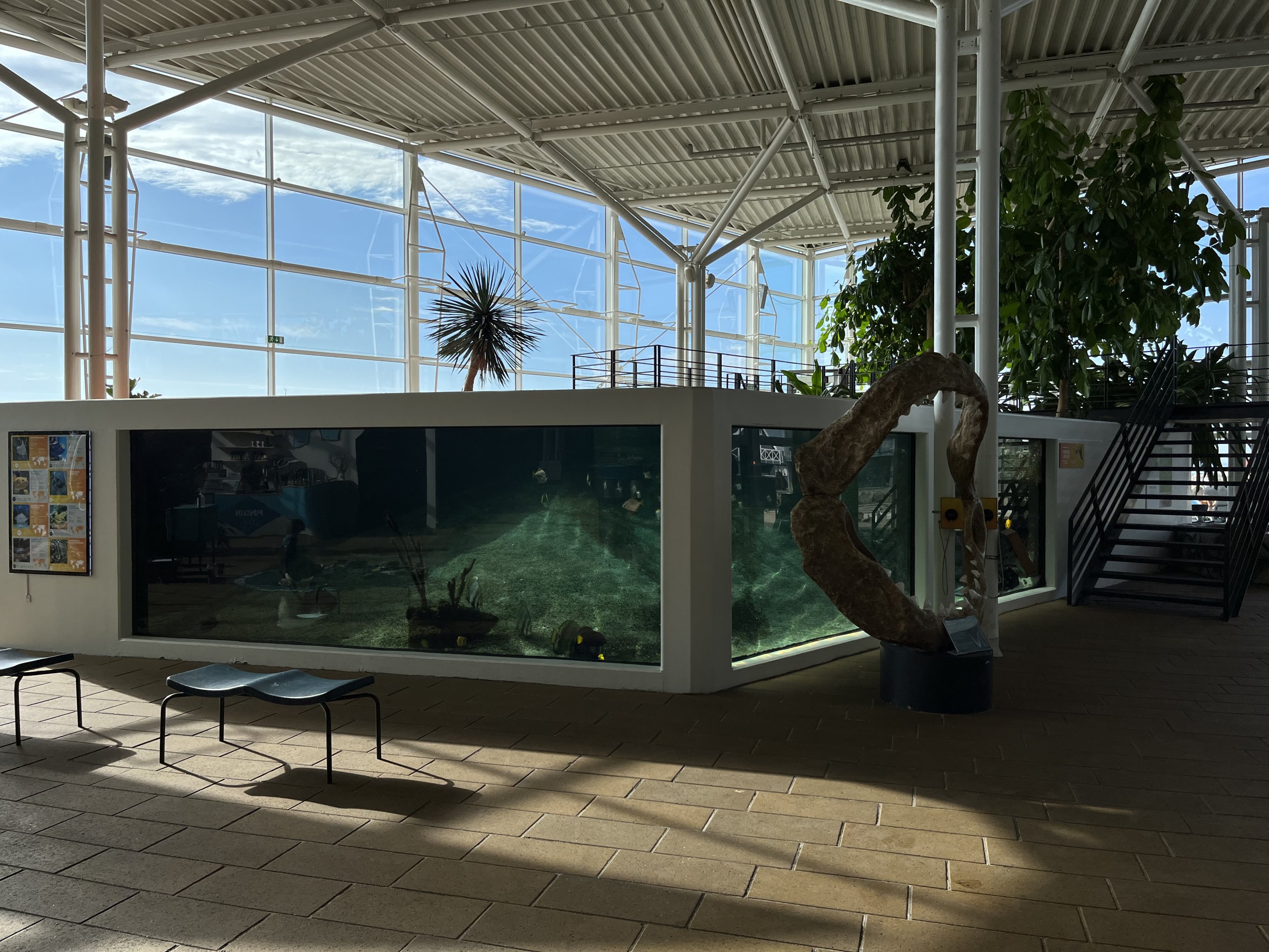 Tropical Lagoon Exhibit