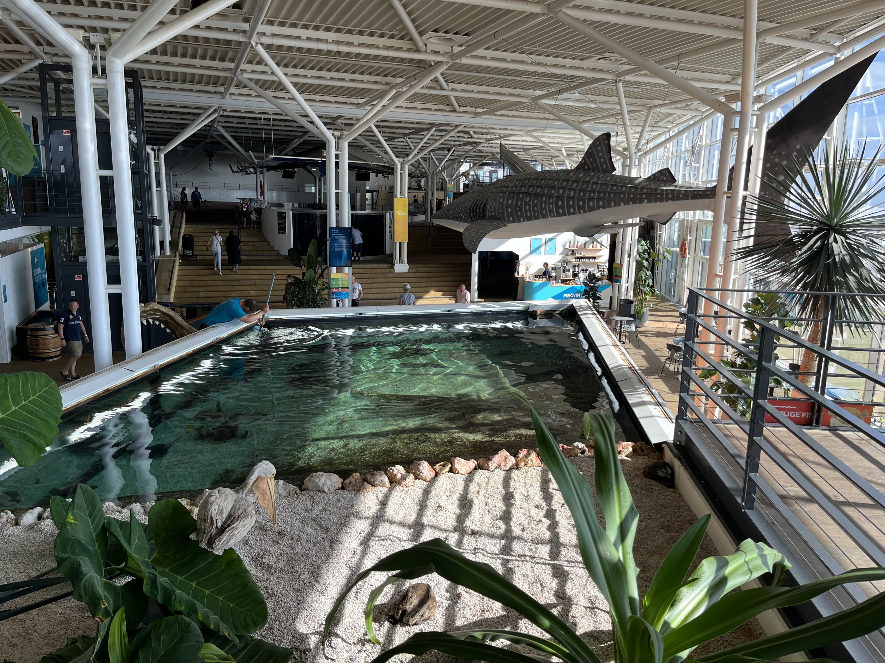 Tropical Lagoon - overhead view