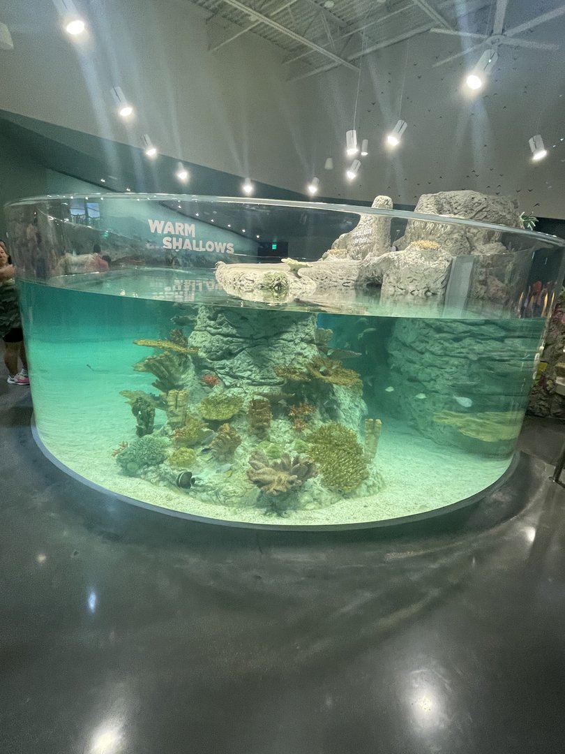 Tropical Lagoon Tank