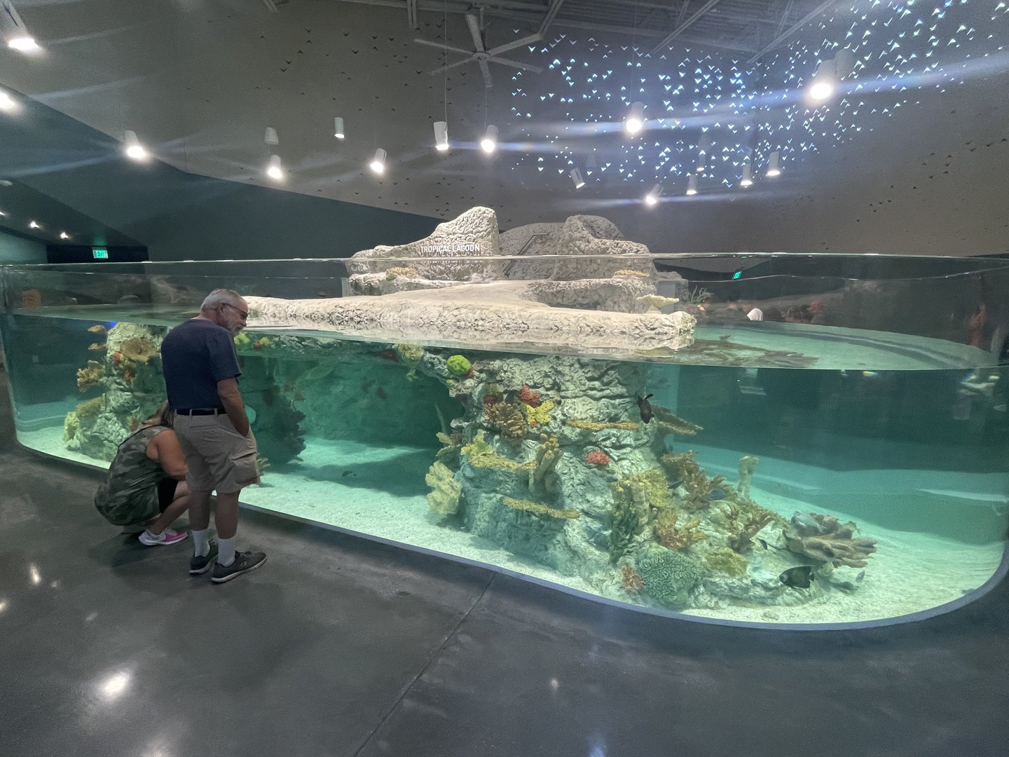 Tropical Lagoon Tank