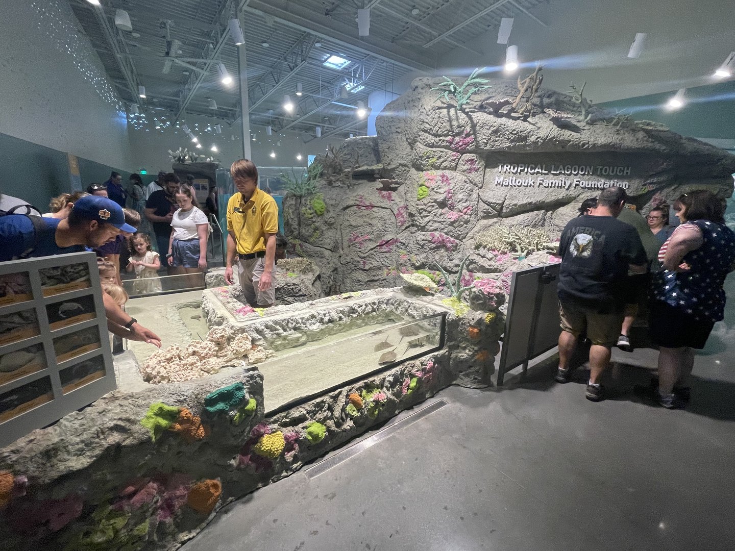 Tropical Lagoon Touch Tank