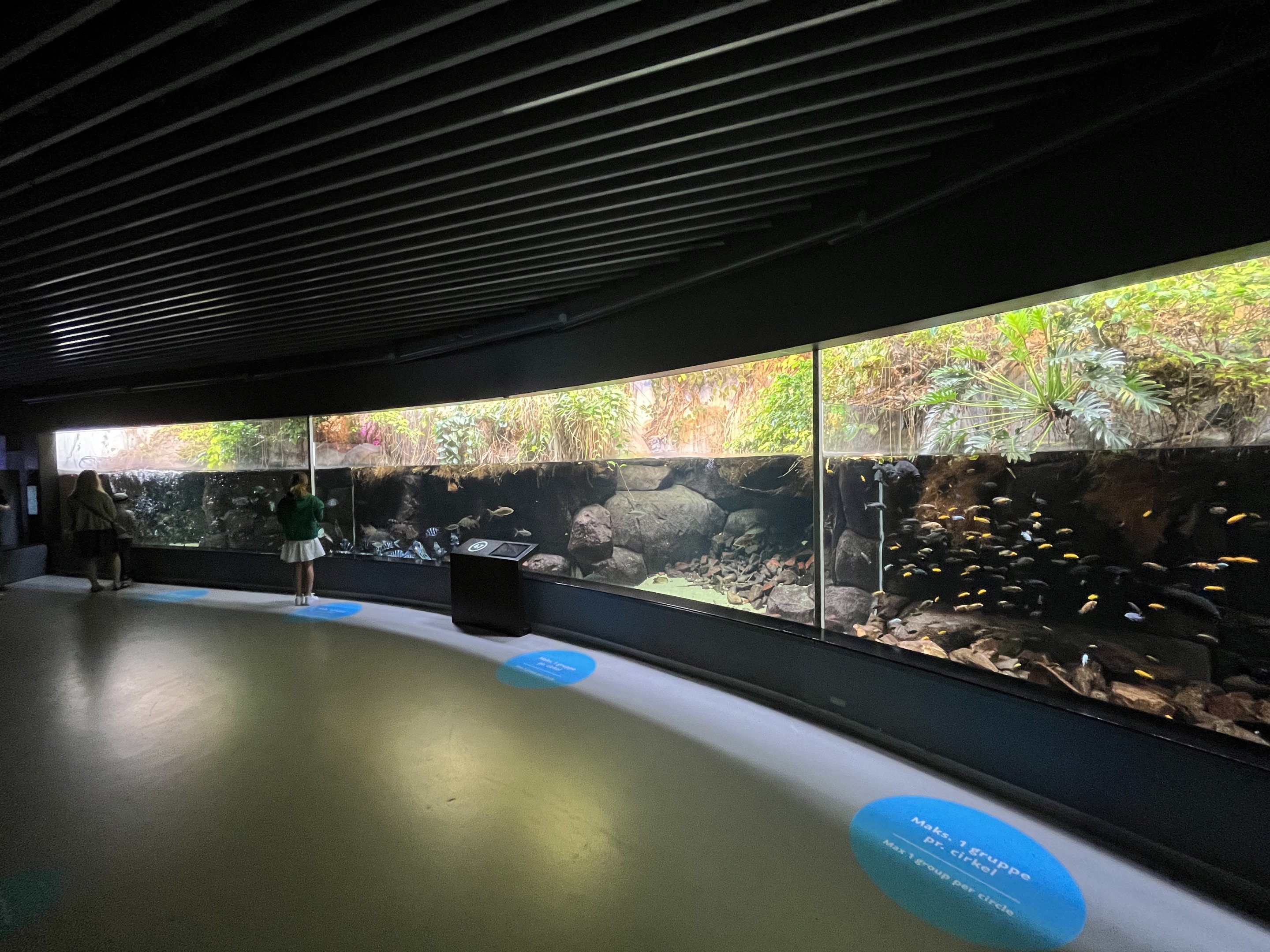 Tropical Lakes and Rivers