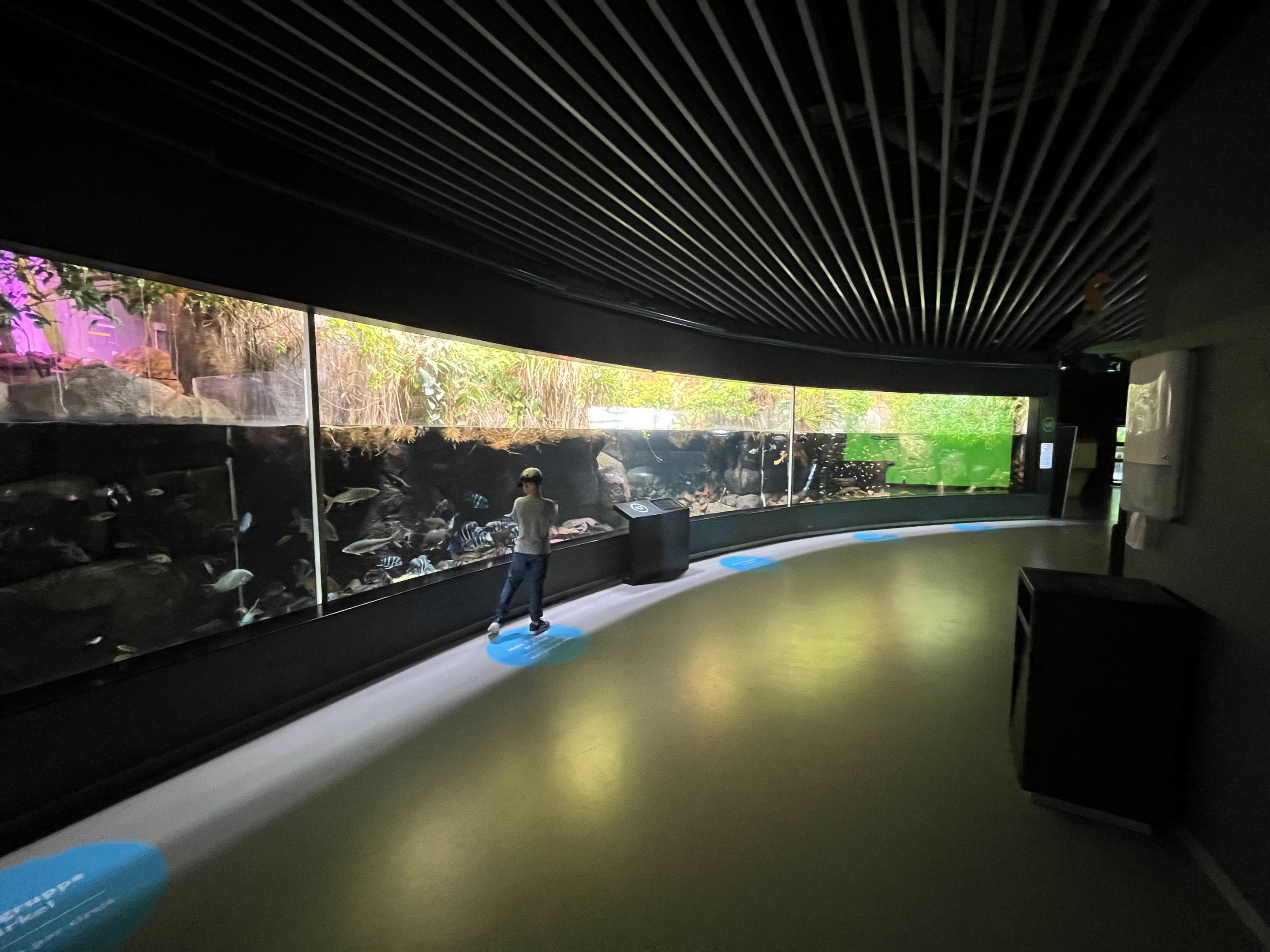 Tropical Lakes + Rivers (stunning!)