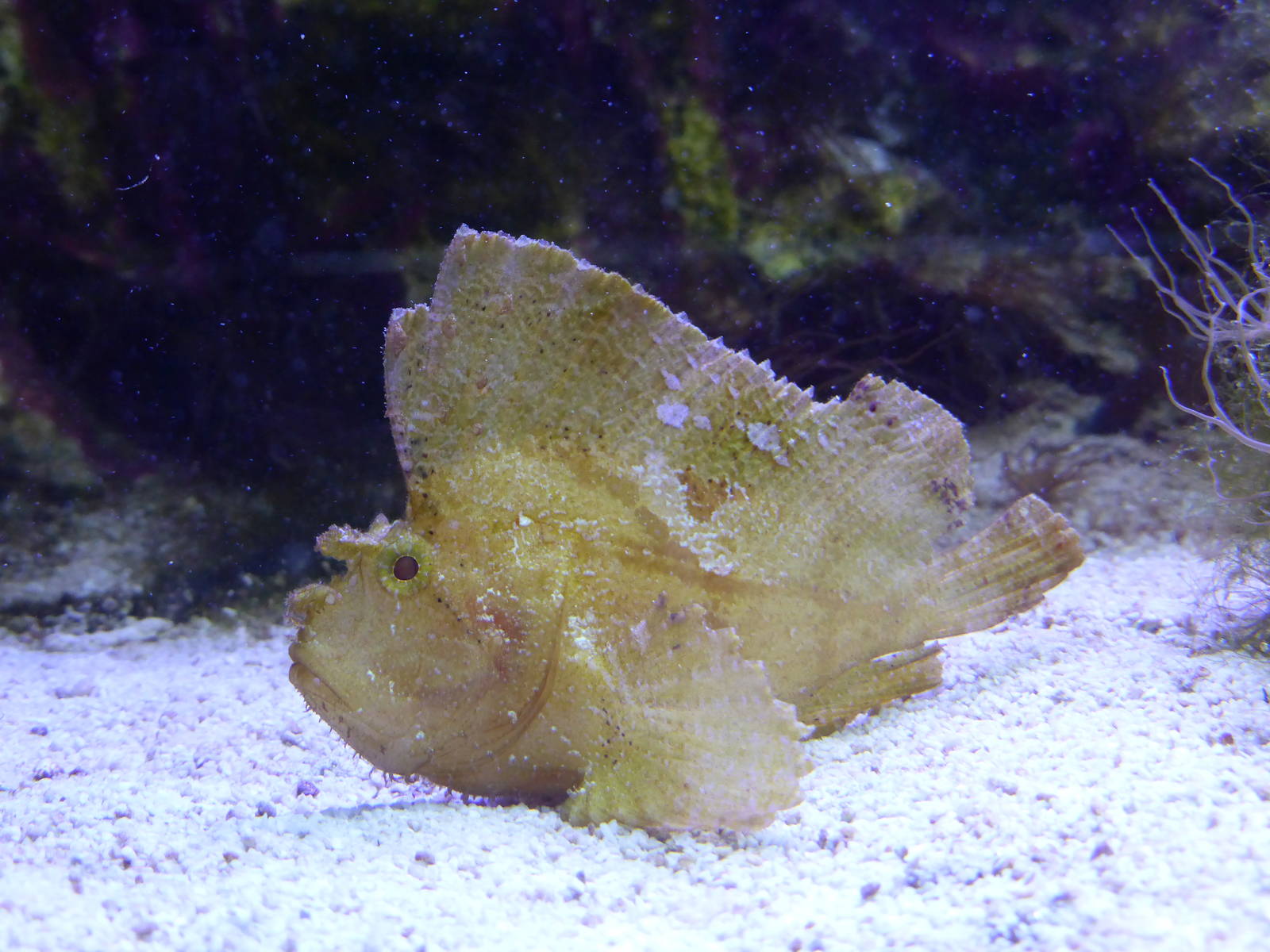 Tropical Marine exhibits