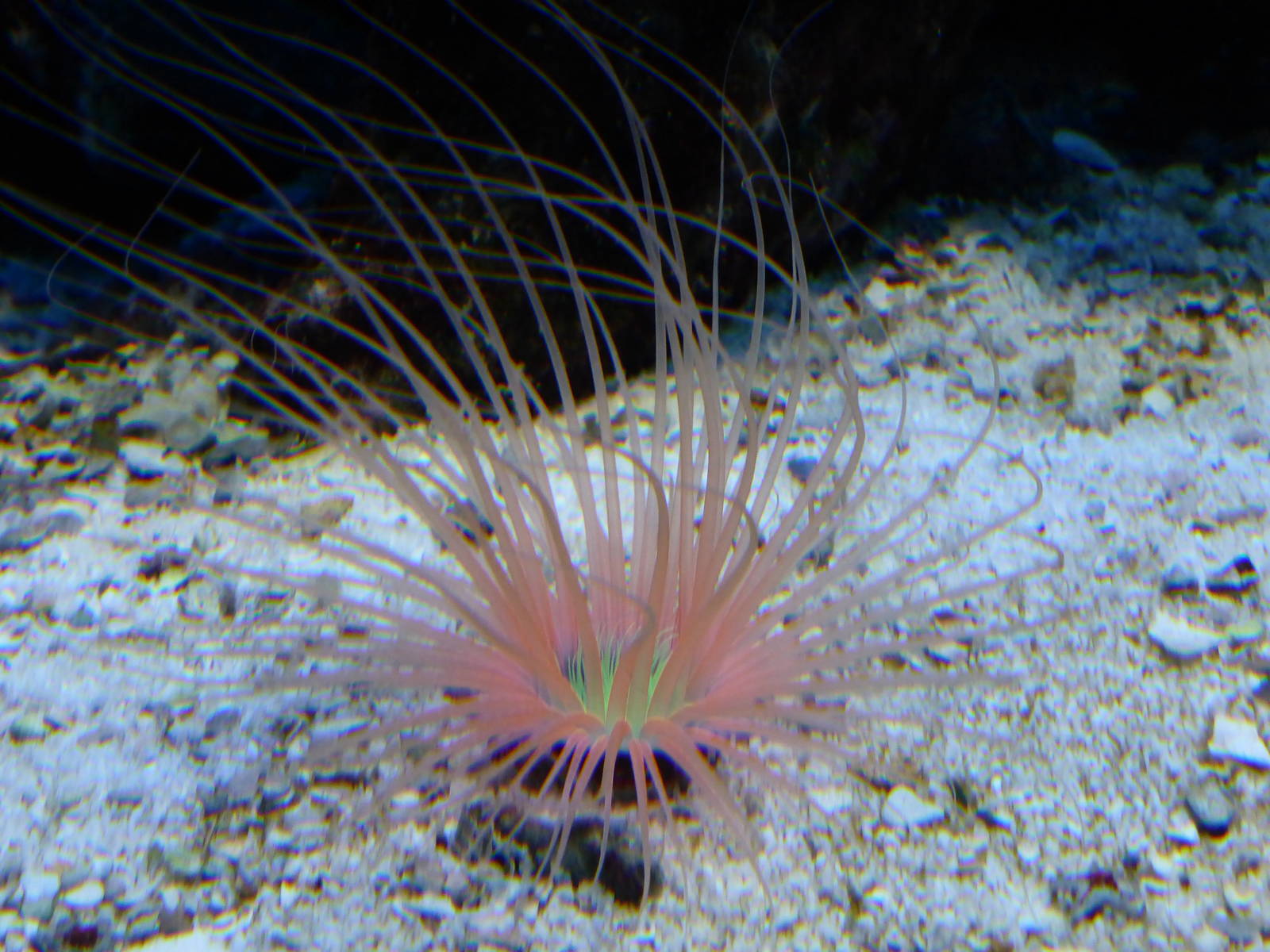 Tropical Marine exhibits