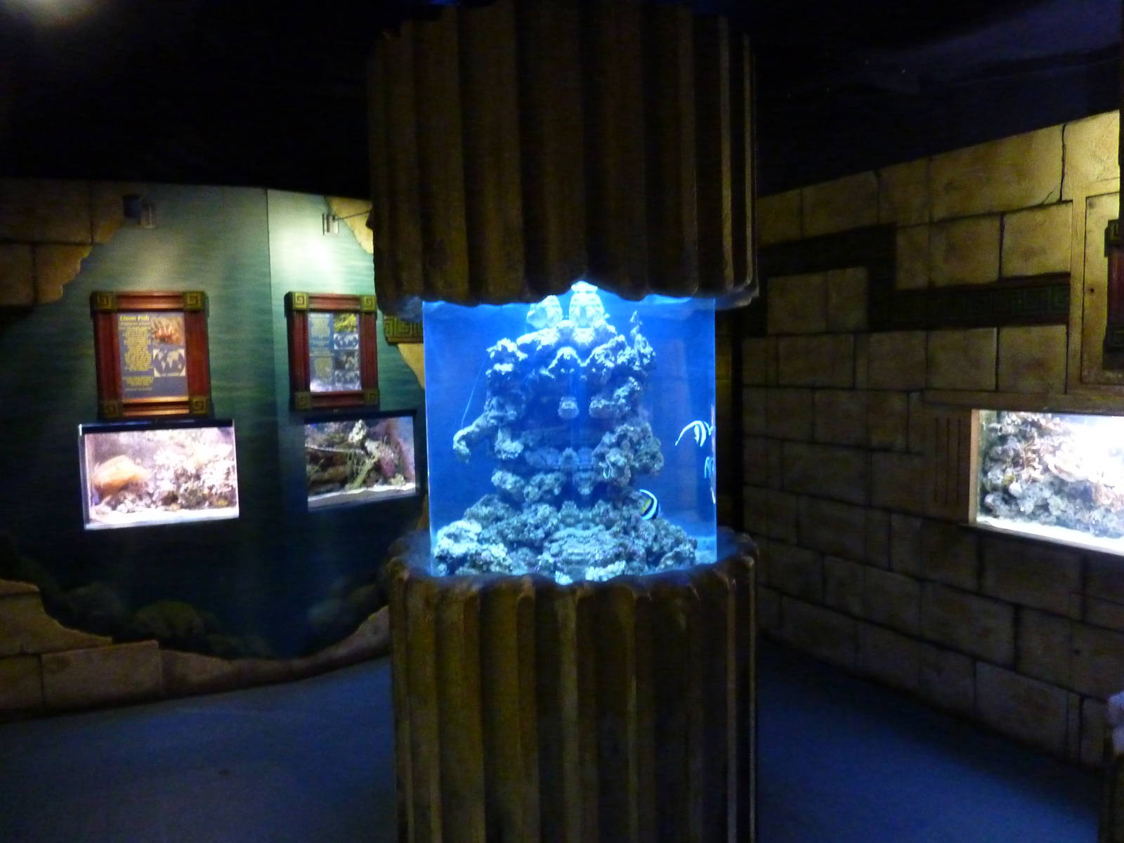 Tropical marine room