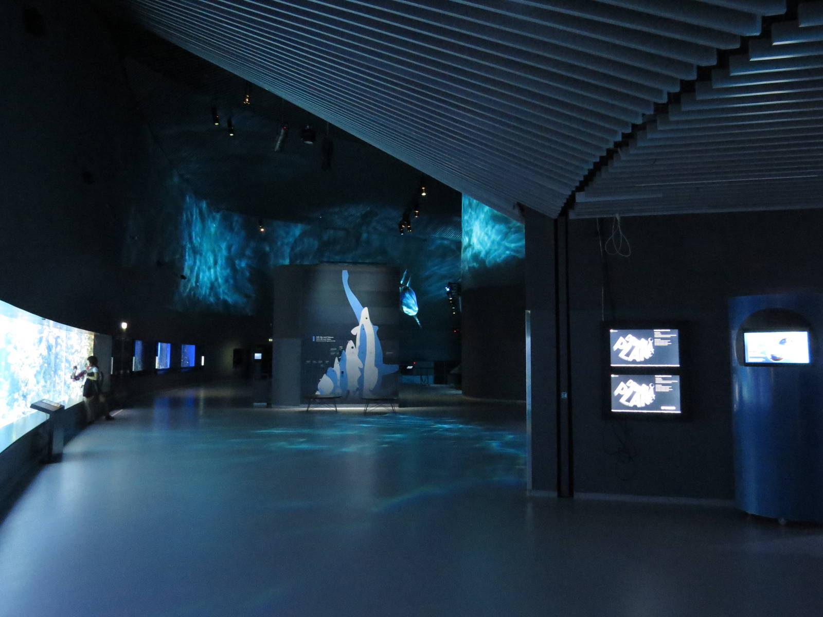 Tropical marine section of the aquarium, June 2015.