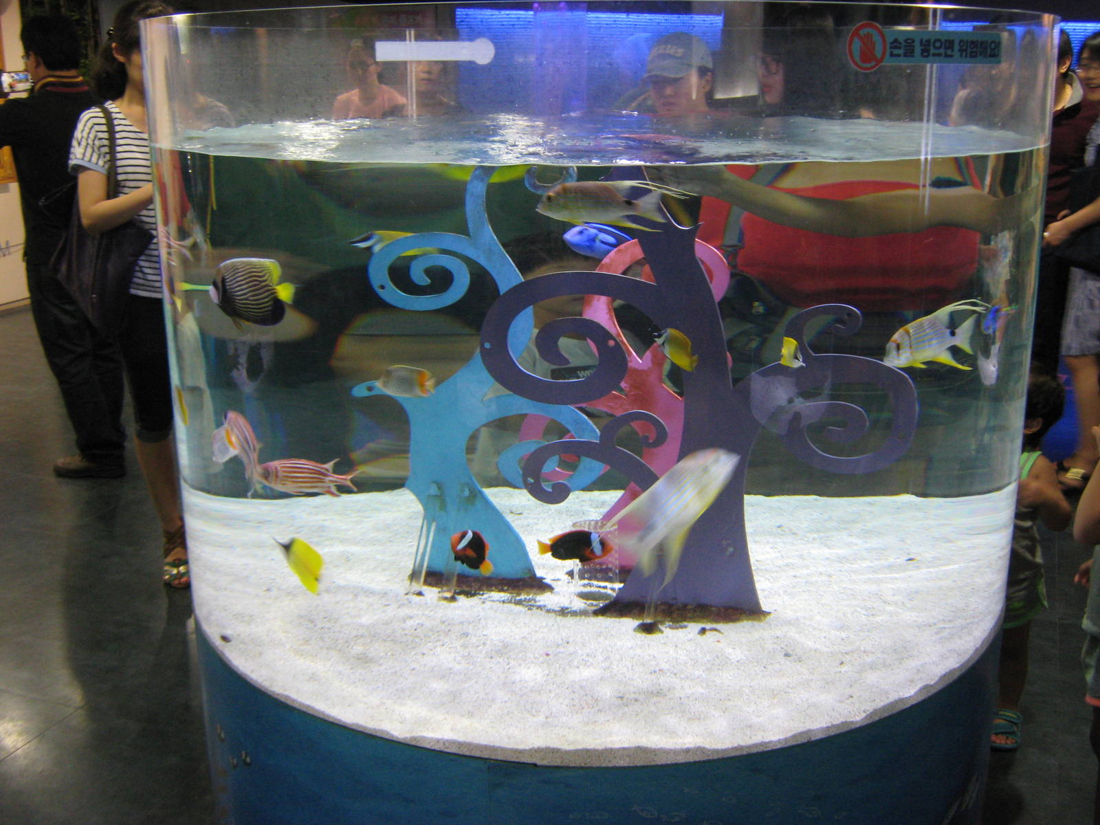 tropical marine tank