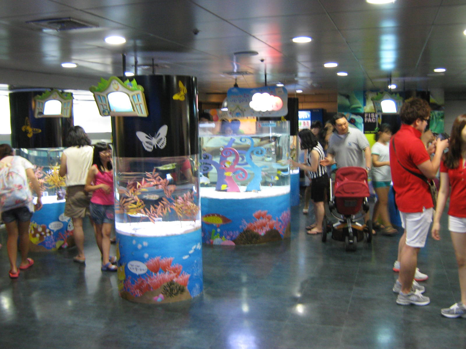 tropical marine tanks