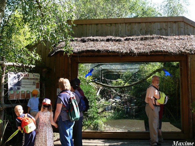 Tropical mixed-species exhibit - Zoo de la Flèche