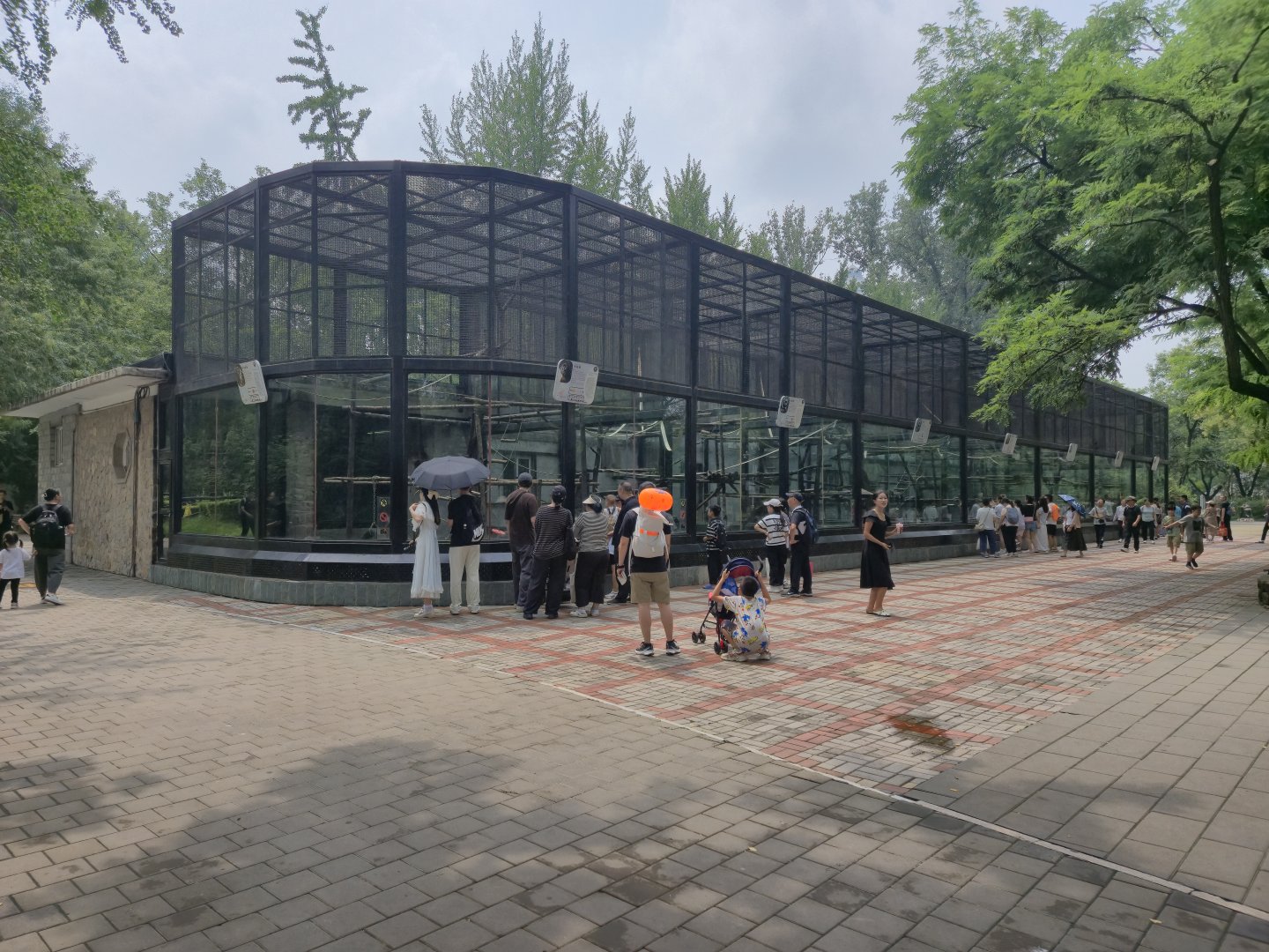 Tropical Monkeys exhibits