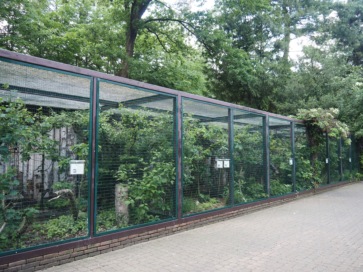 Tropical owl and Small falcon aviary block, 2024-05-23