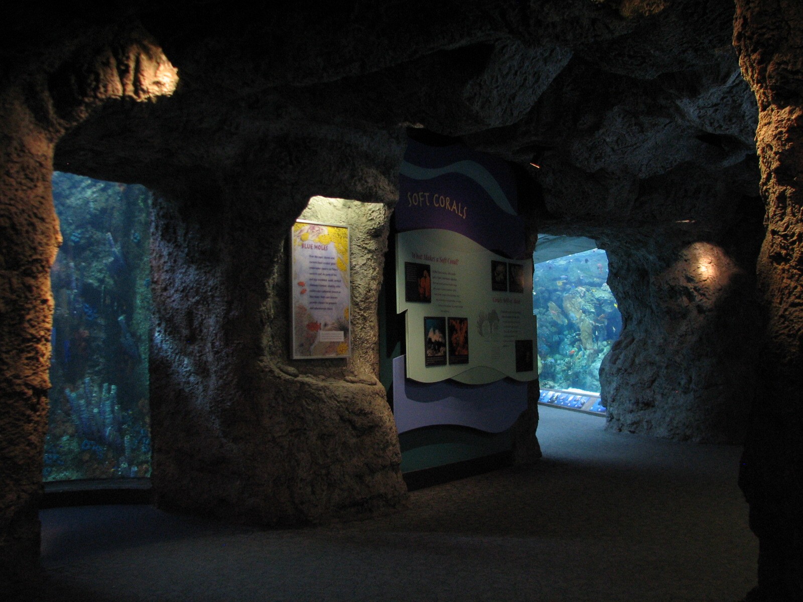Tropical Pacific Gallery - Tropical Reef Habitat - Blue Hole (Third Viewing