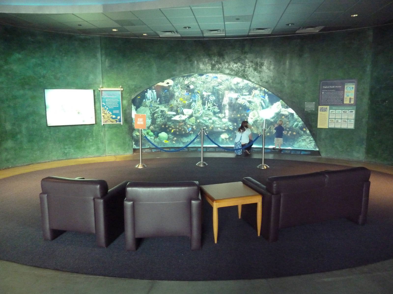 Tropical Pacific Preview Exhibit