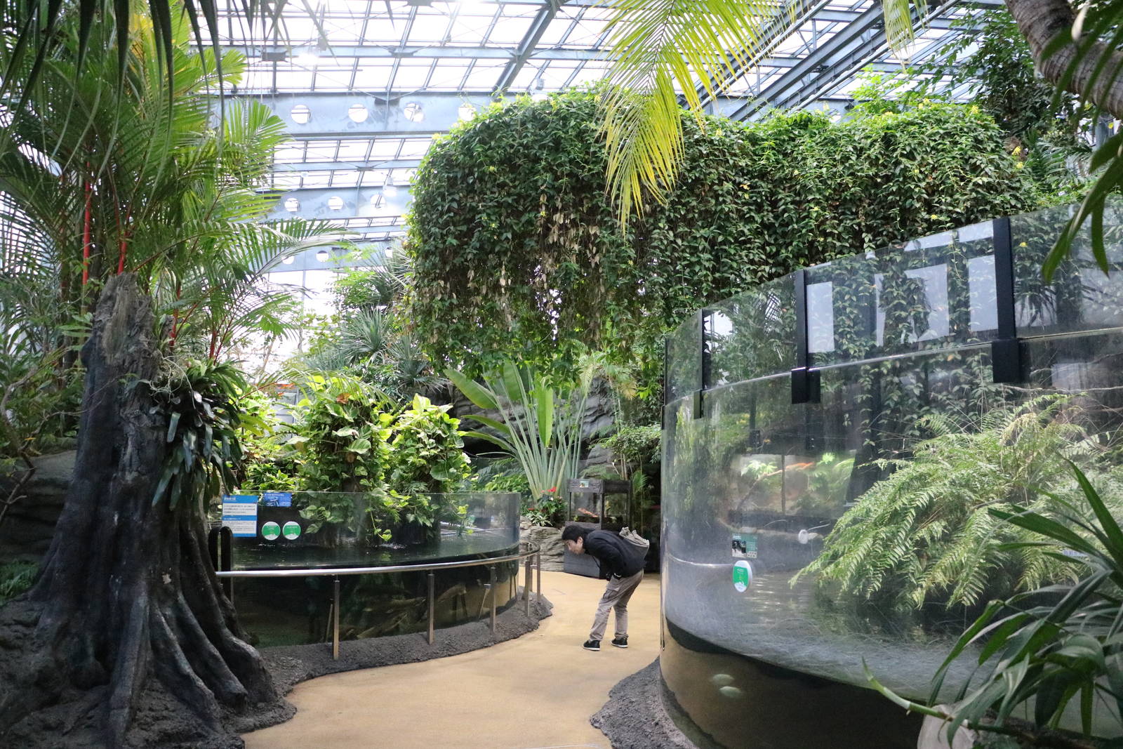 Tropical part of vivarium, February 2016