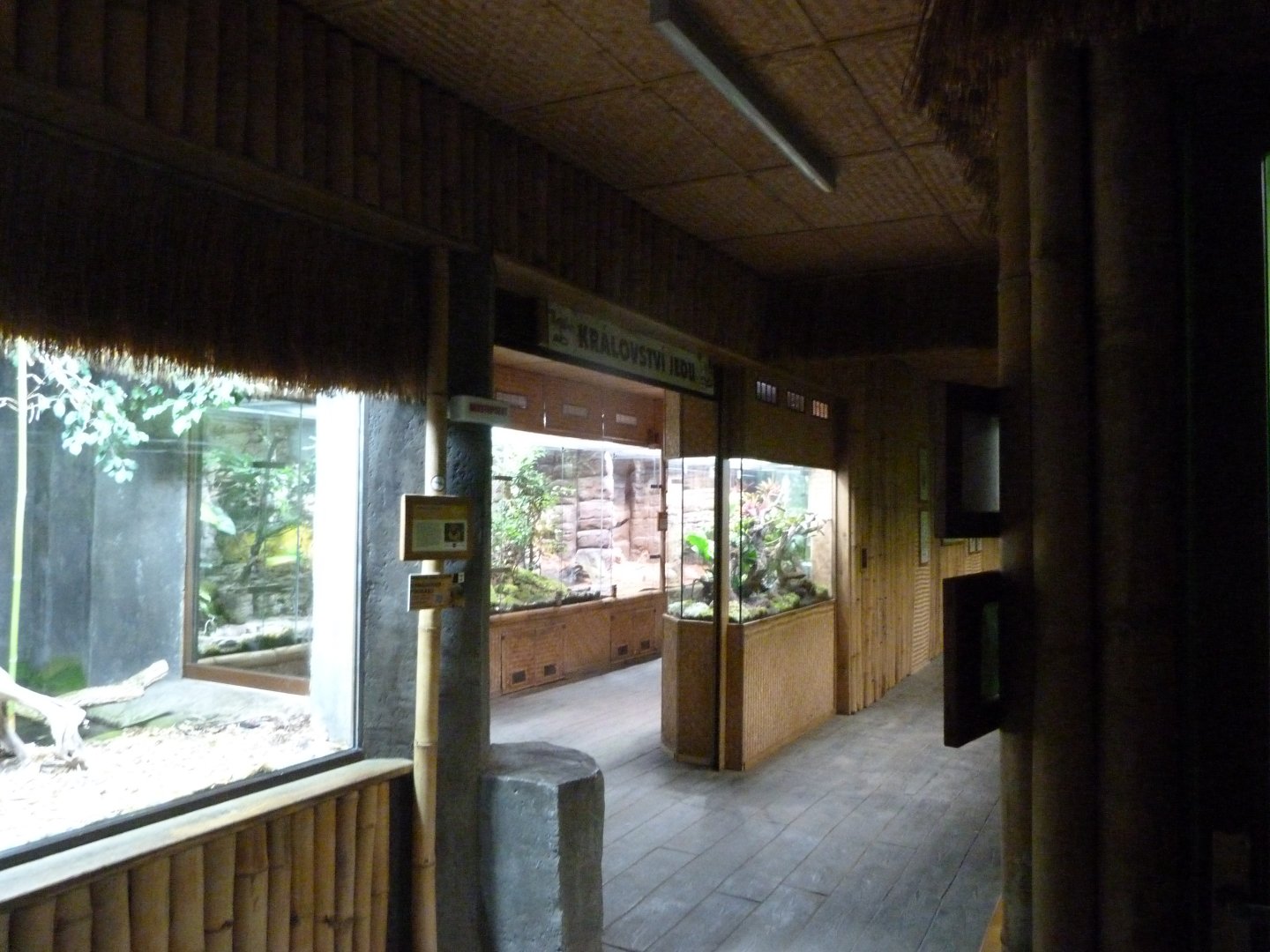 Tropical Pavillion indoors view -Zoo Plzeň (2025)