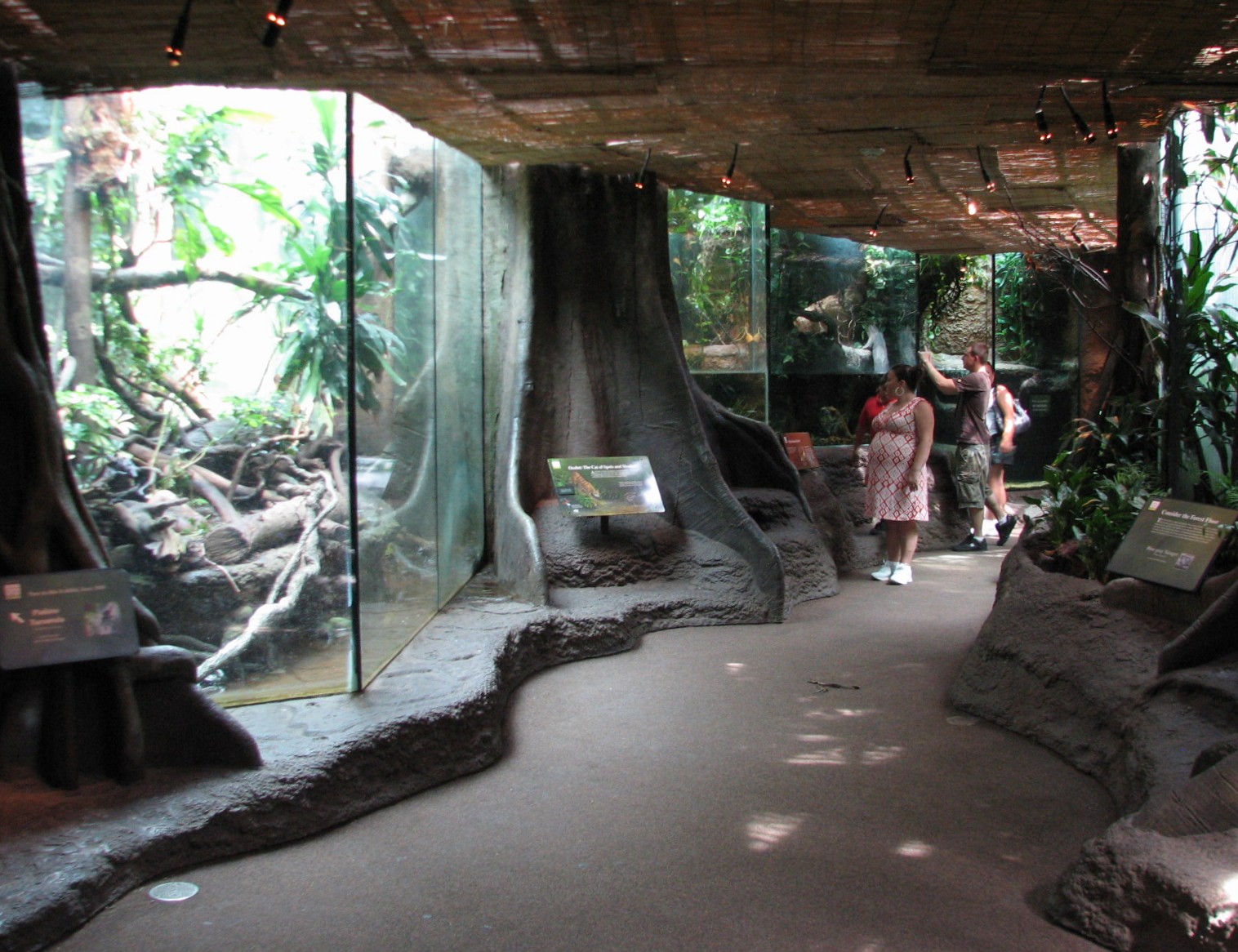 Tropical Rain Forest - Building Interior