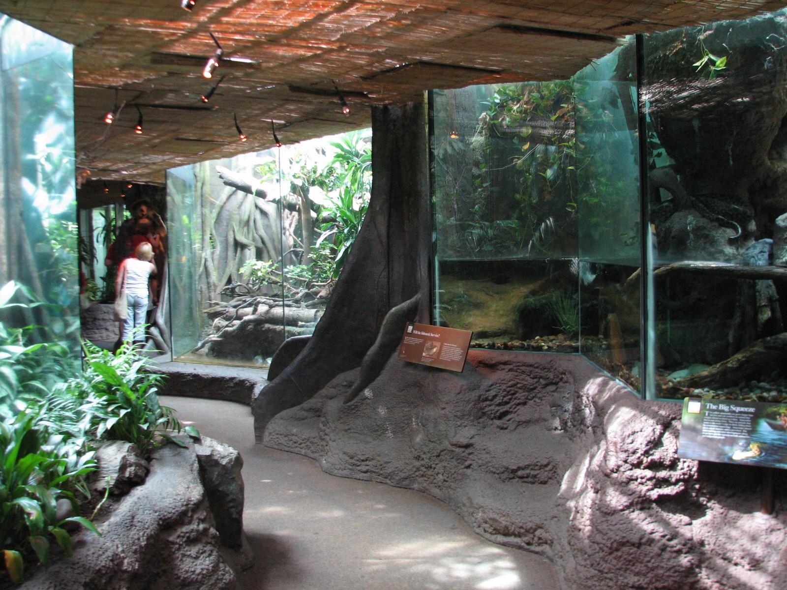 Tropical Rain Forest - Building Interior