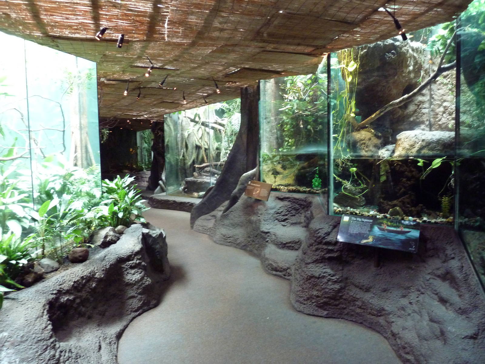 Tropical Rain Forest Building