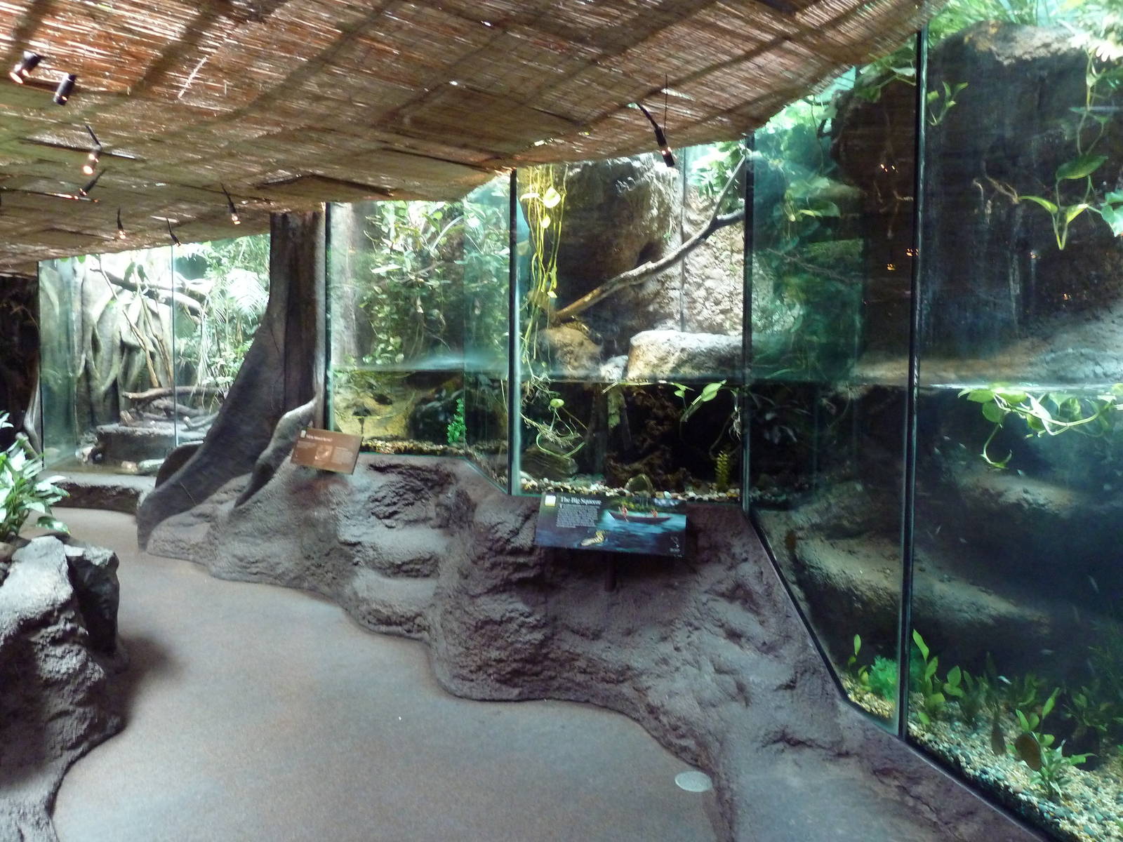 Tropical Rain Forest Building