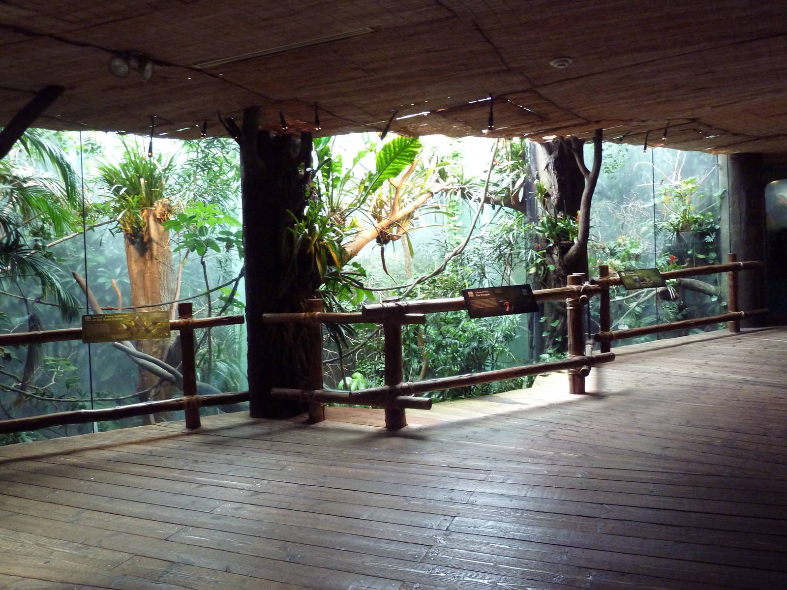 Tropical Rain Forest Building