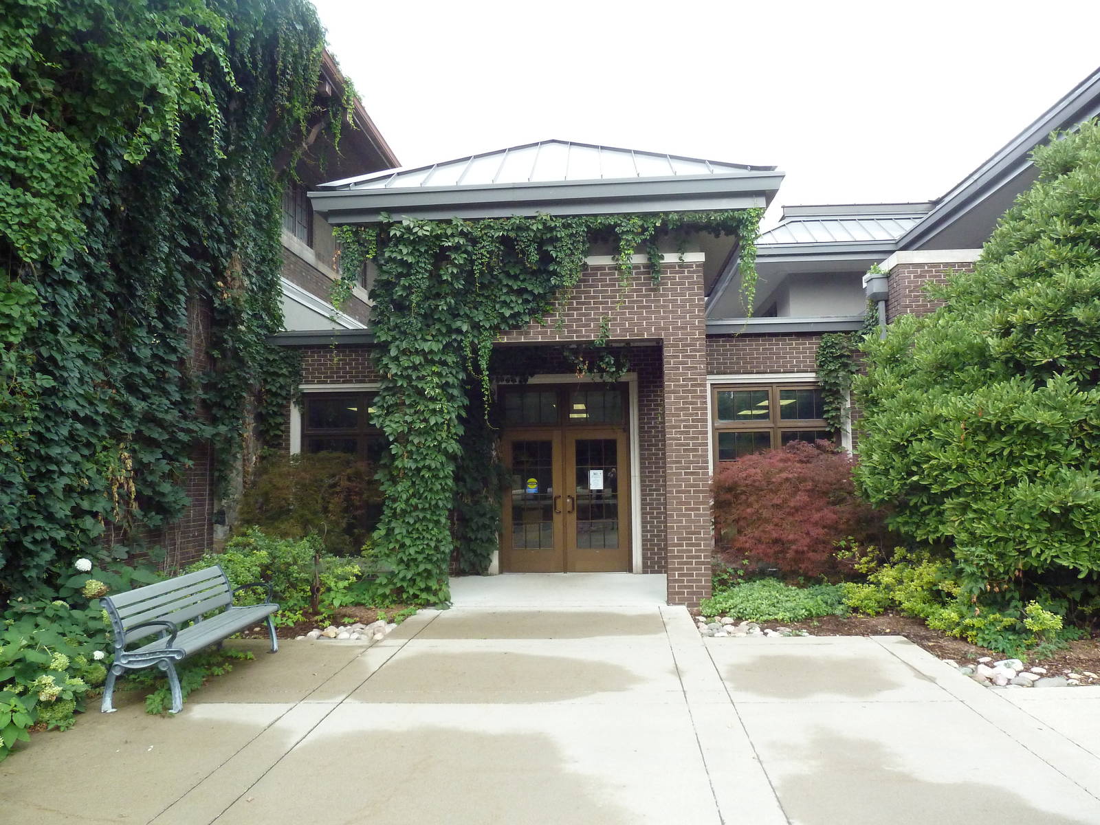 Tropical Rain Forest Building