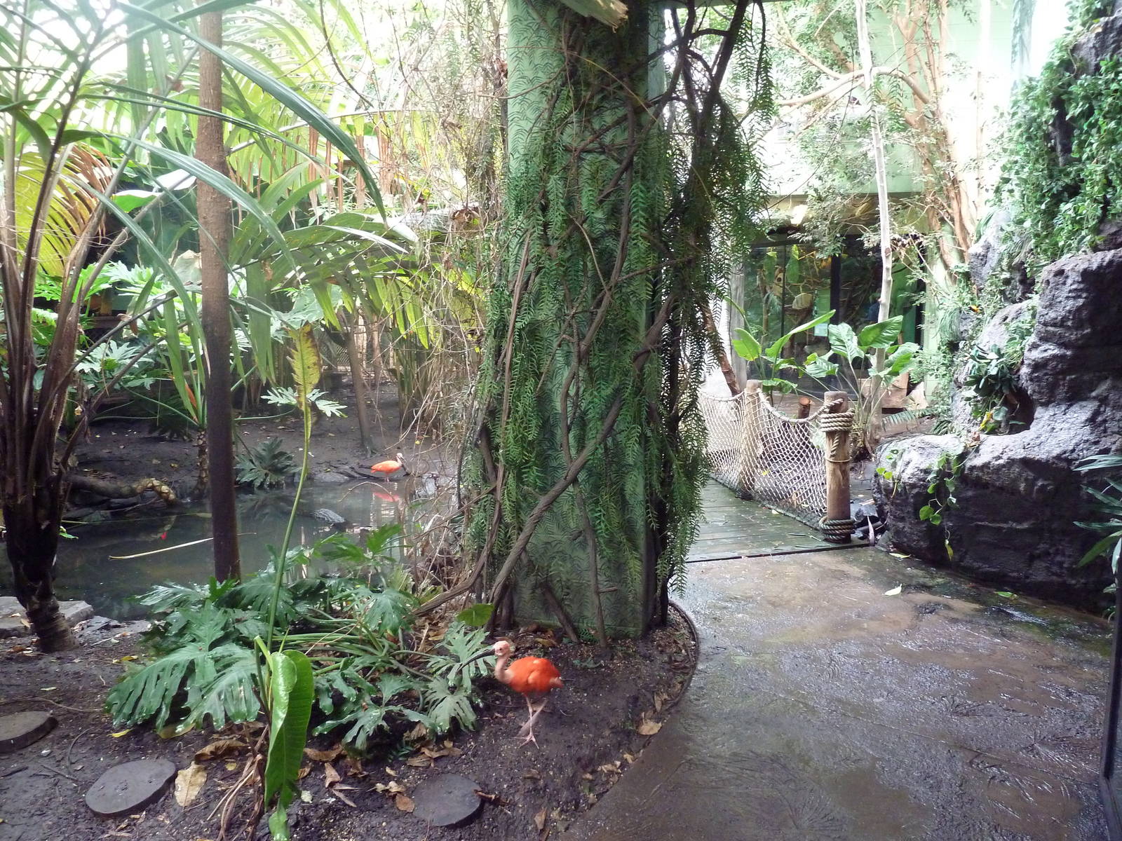 Tropical Rain Forest Building