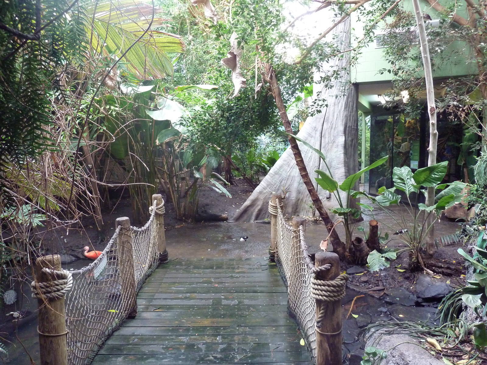 Tropical Rain Forest Building