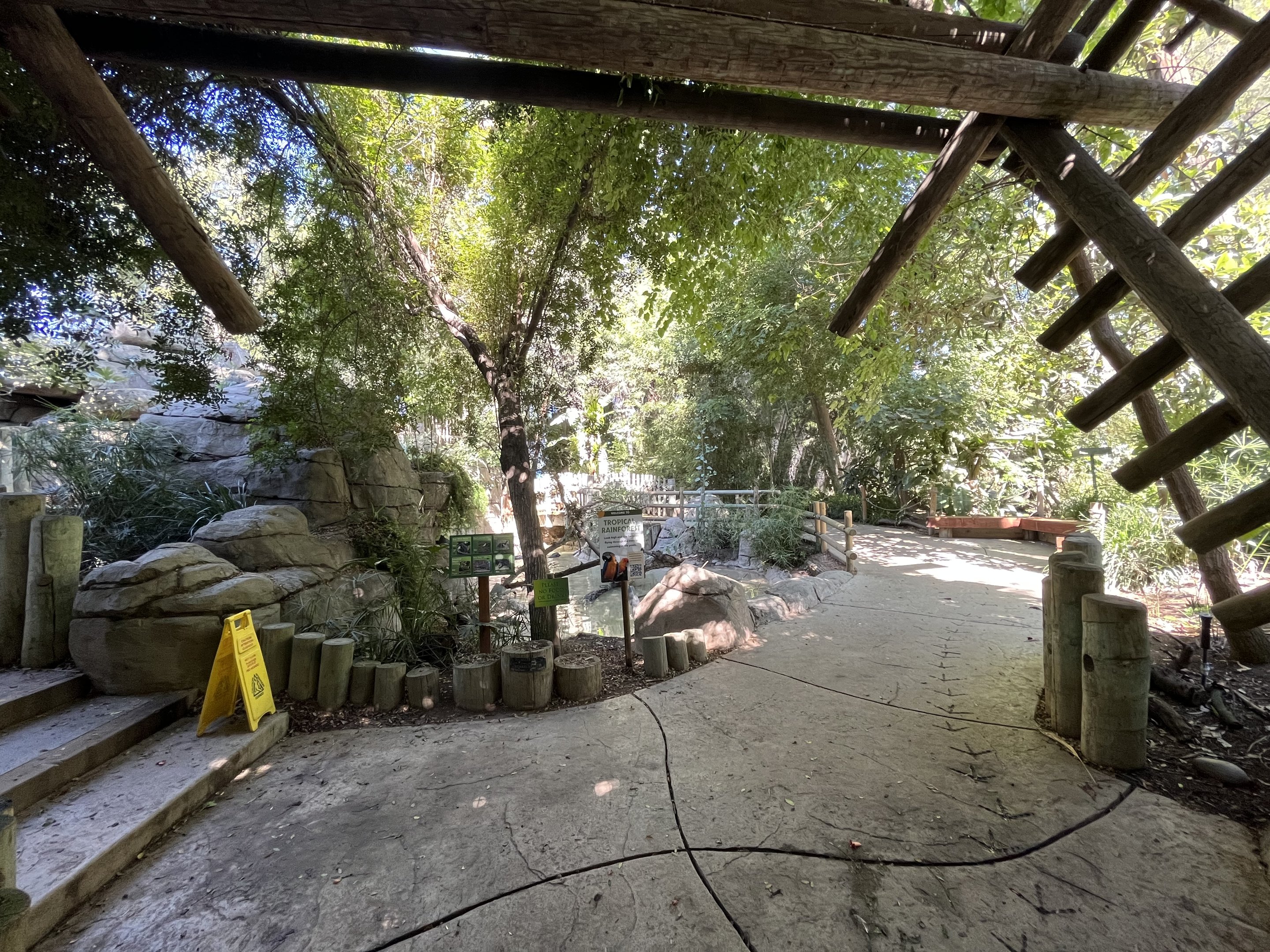 Tropical Rain Forest - Entrance Area