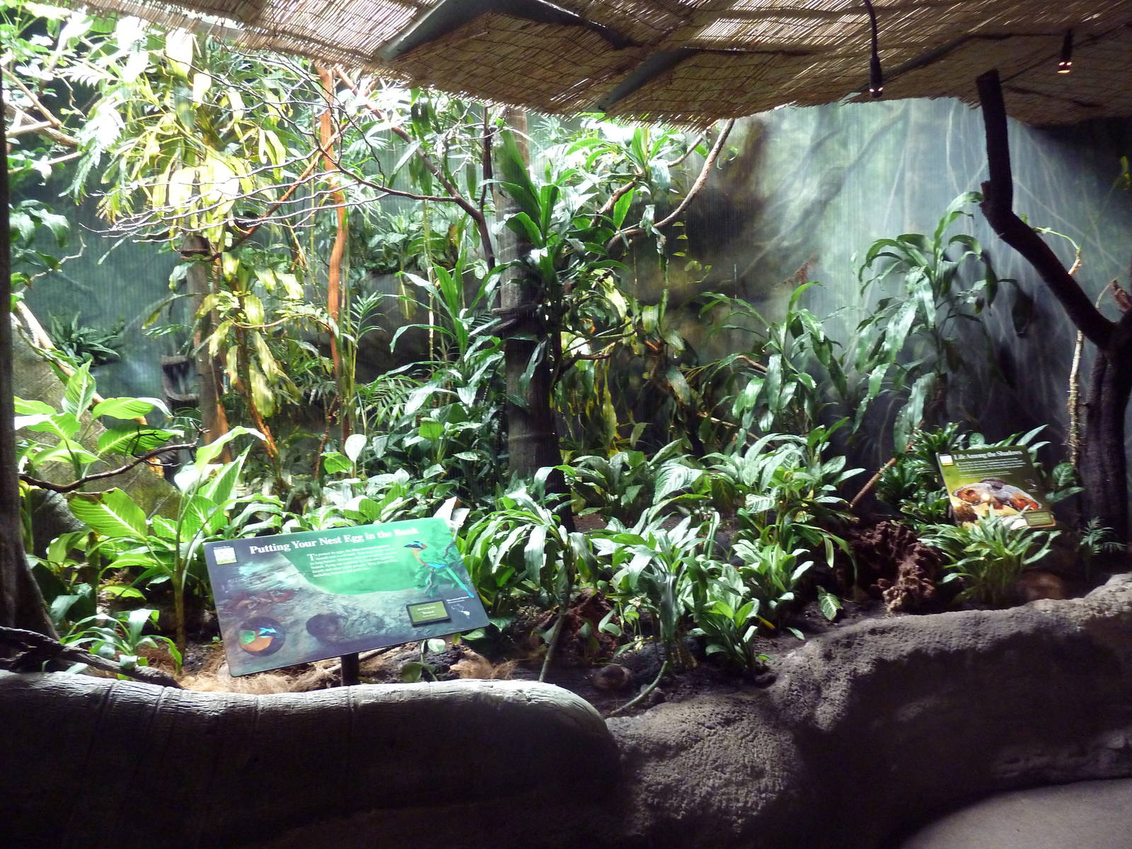 Tropical Rain Forest Exhibit - Aviary (4 Species)